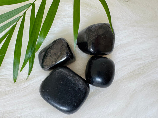 Shungite Tumbled Type II Russia - Moon Room Shop and Wellness