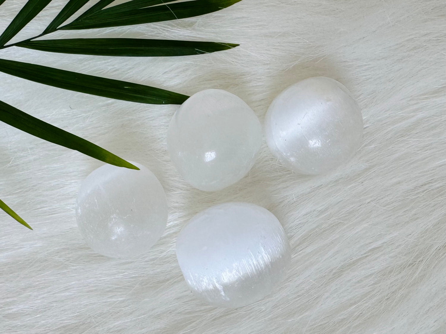 Satin Spar aka Selenite Tumbled - Moon Room Shop and Wellness