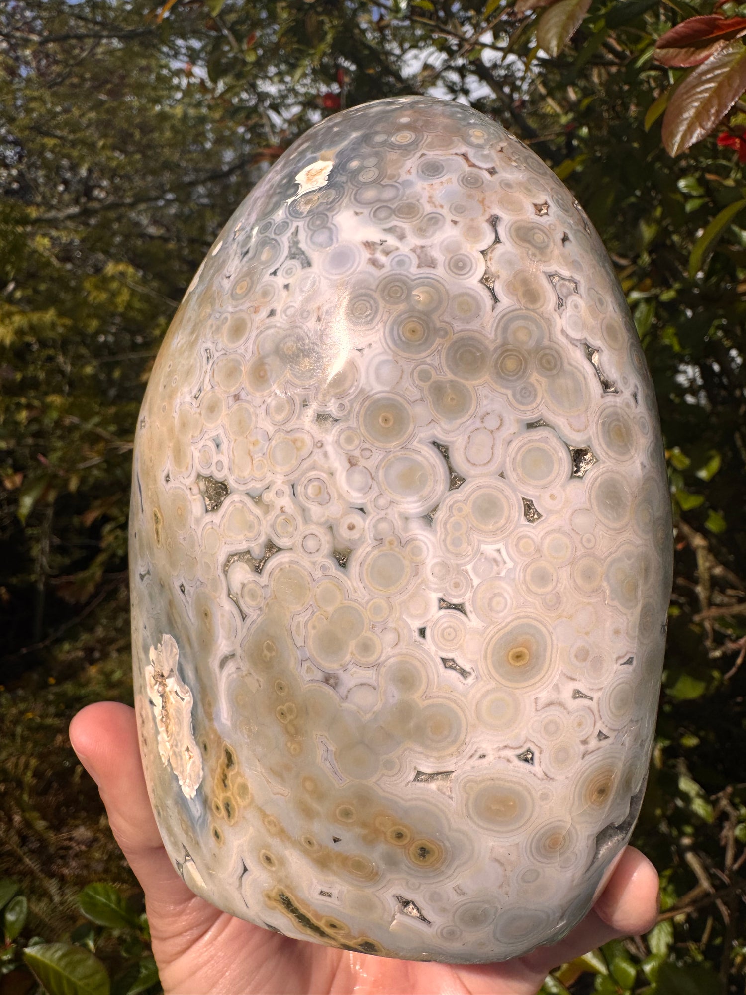 Ocean Jasper Freeform 4.23 lb Madagascar - Moon Room Shop and Wellness