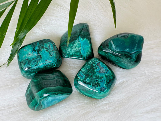 Chrysocolla and Malachite Tumbled - Moon Room Shop and Wellness