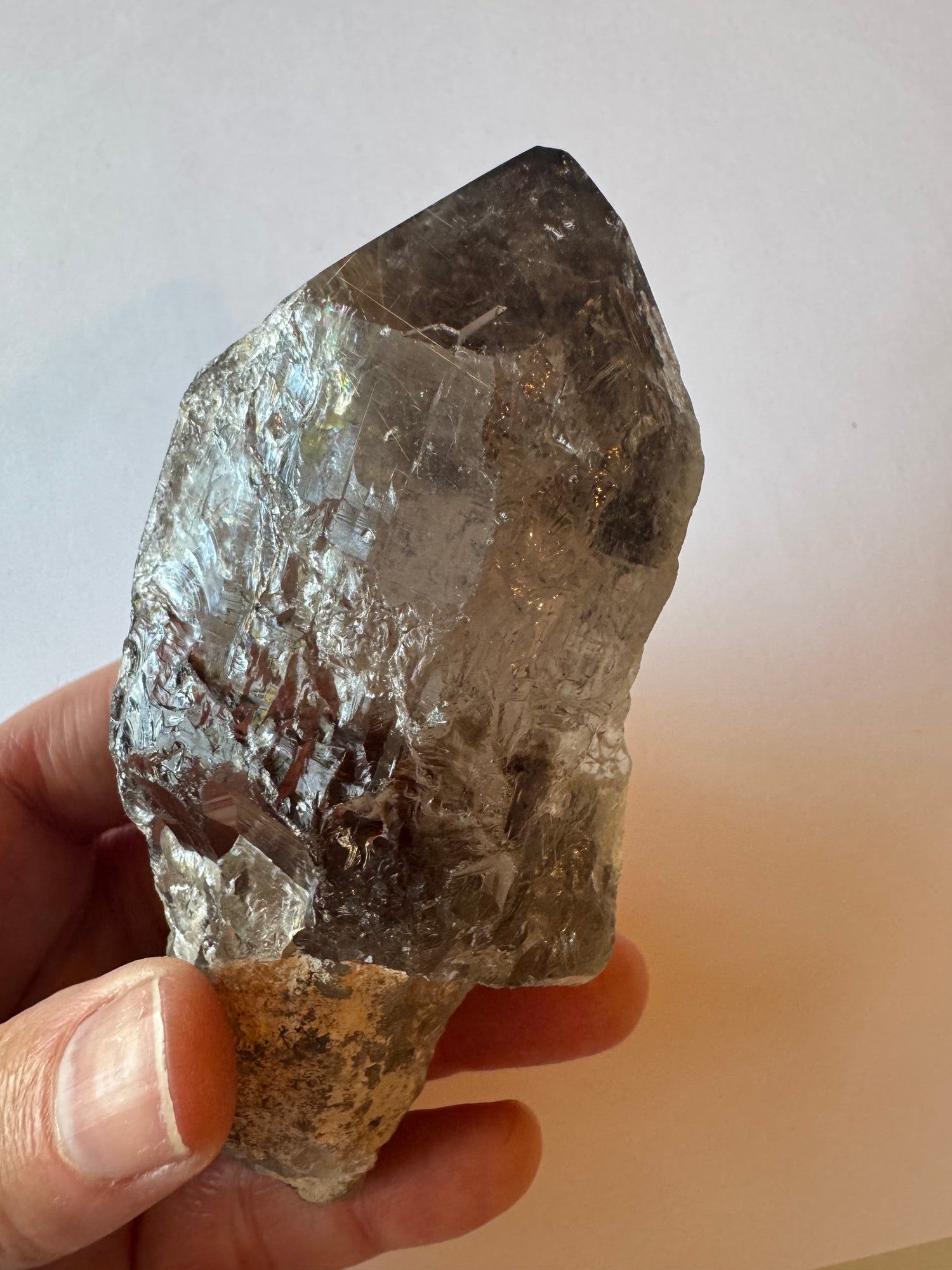 Smoky Quartz Rultilated Point 240 g Brazil Spectacular Beauty - Moon Room Shop and Wellness
