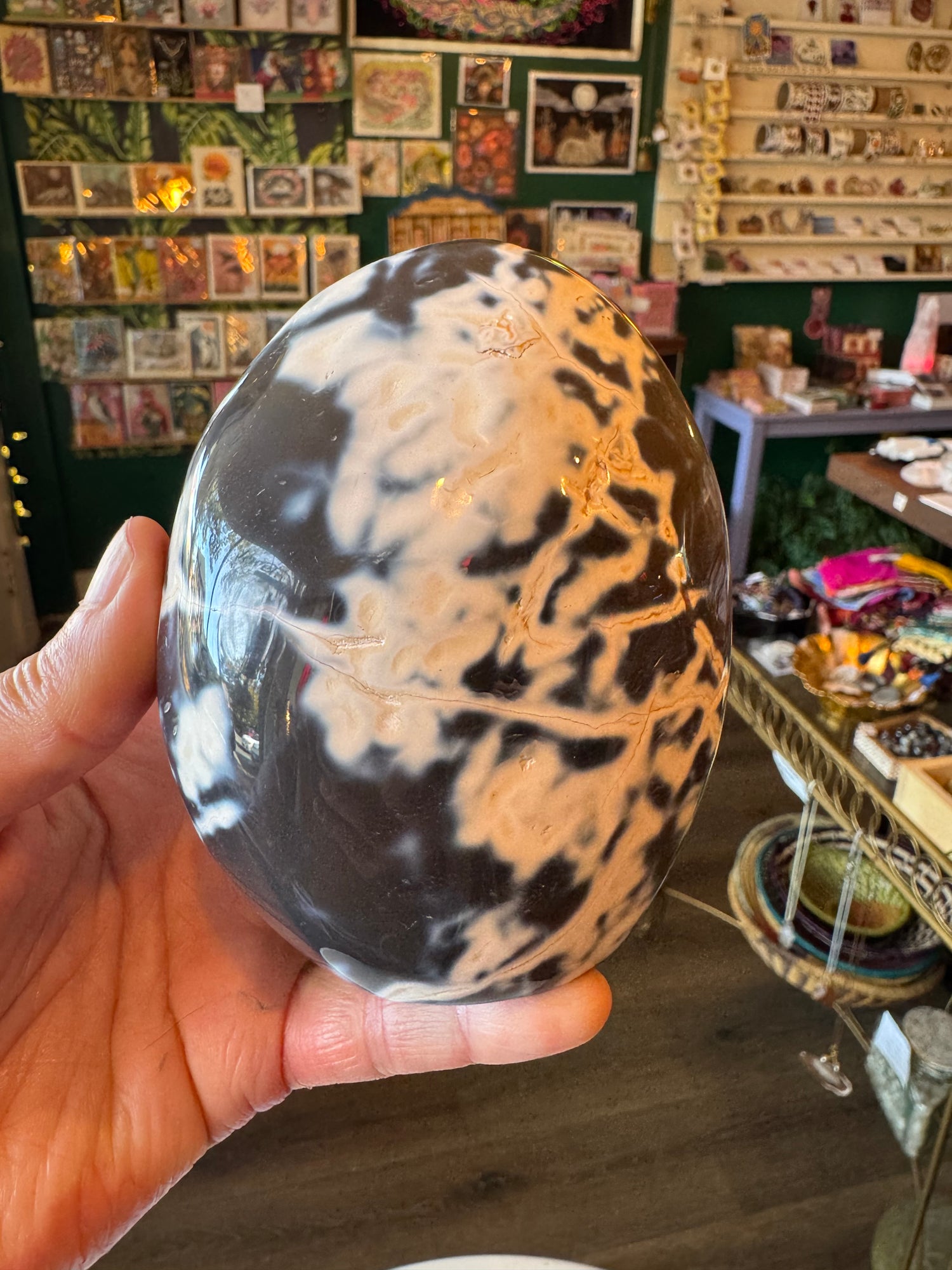 Orca Agate Freeform 1.52 lb - Moon Room Shop and Wellness