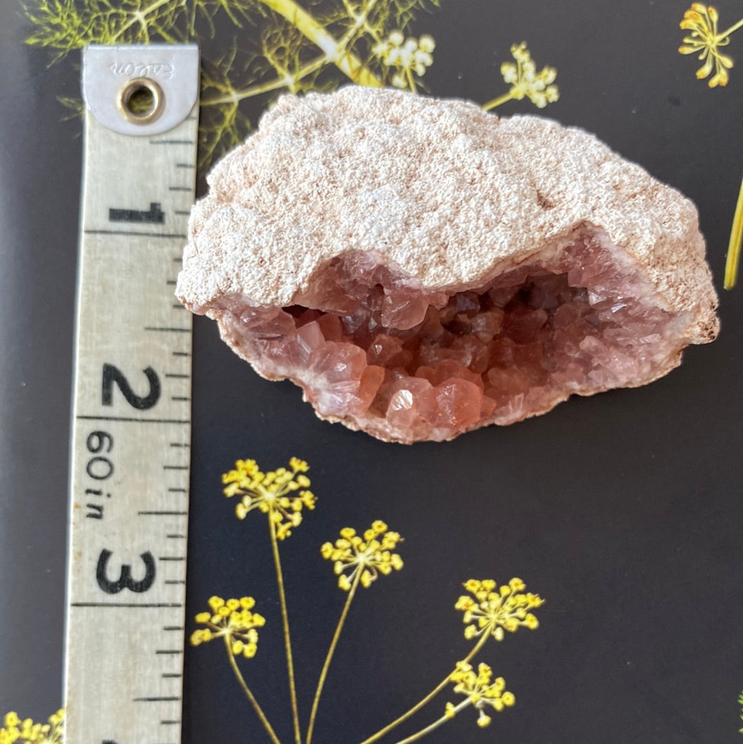 Pink Amethyst Geode - 92 g - Argentina - Moon Room Shop and Wellness