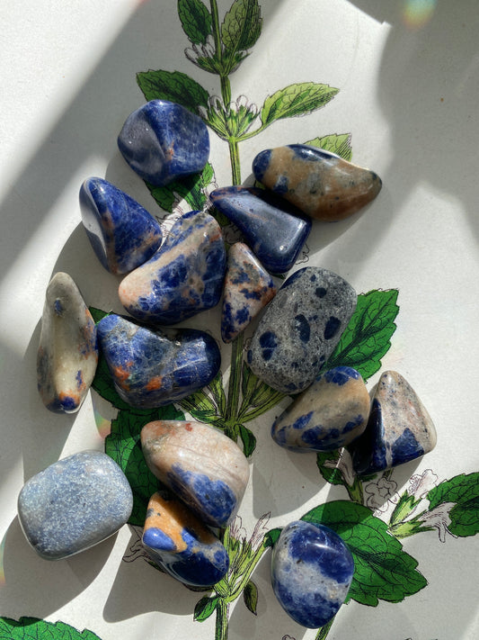 Sodalite Tumbled - Moon Room Shop and Wellness