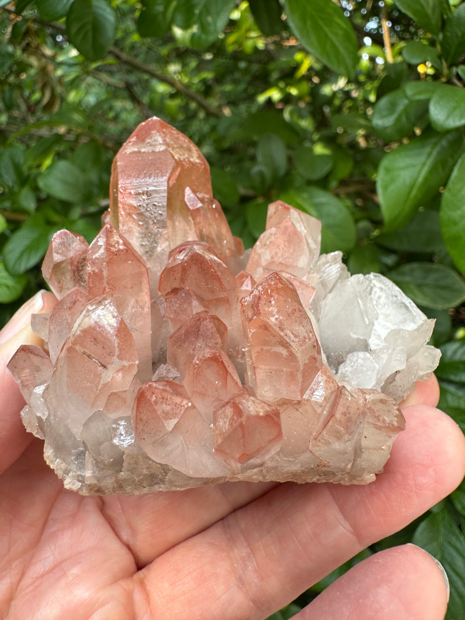 Pink Lithium Quartz Cluster 140 g - Brazil- Peaceful Beauty! - Moon Room Shop and Wellness