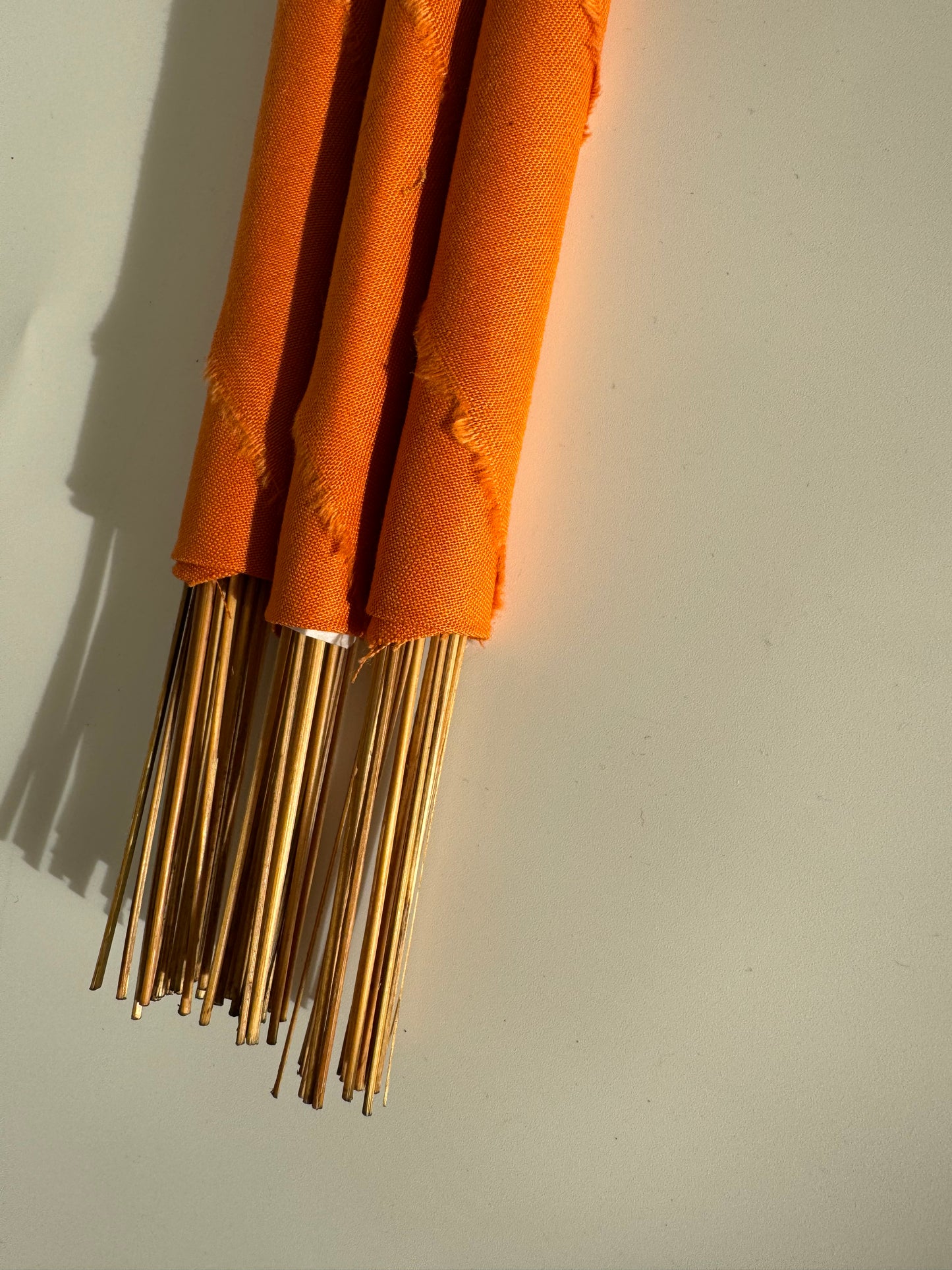 Salish Winds Local PNW Incense- Cinnamon Twist - Moon Room Shop and Wellness