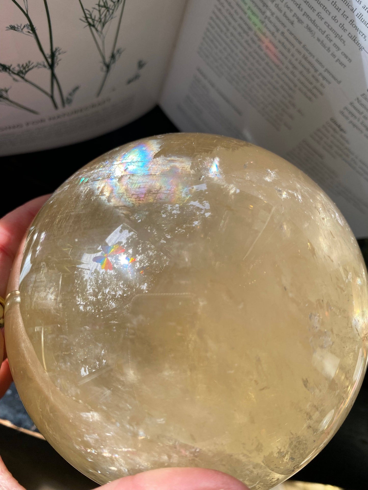 Large Optical Calcite Sphere 6.38 lbs - Moon Room Shop and Wellness