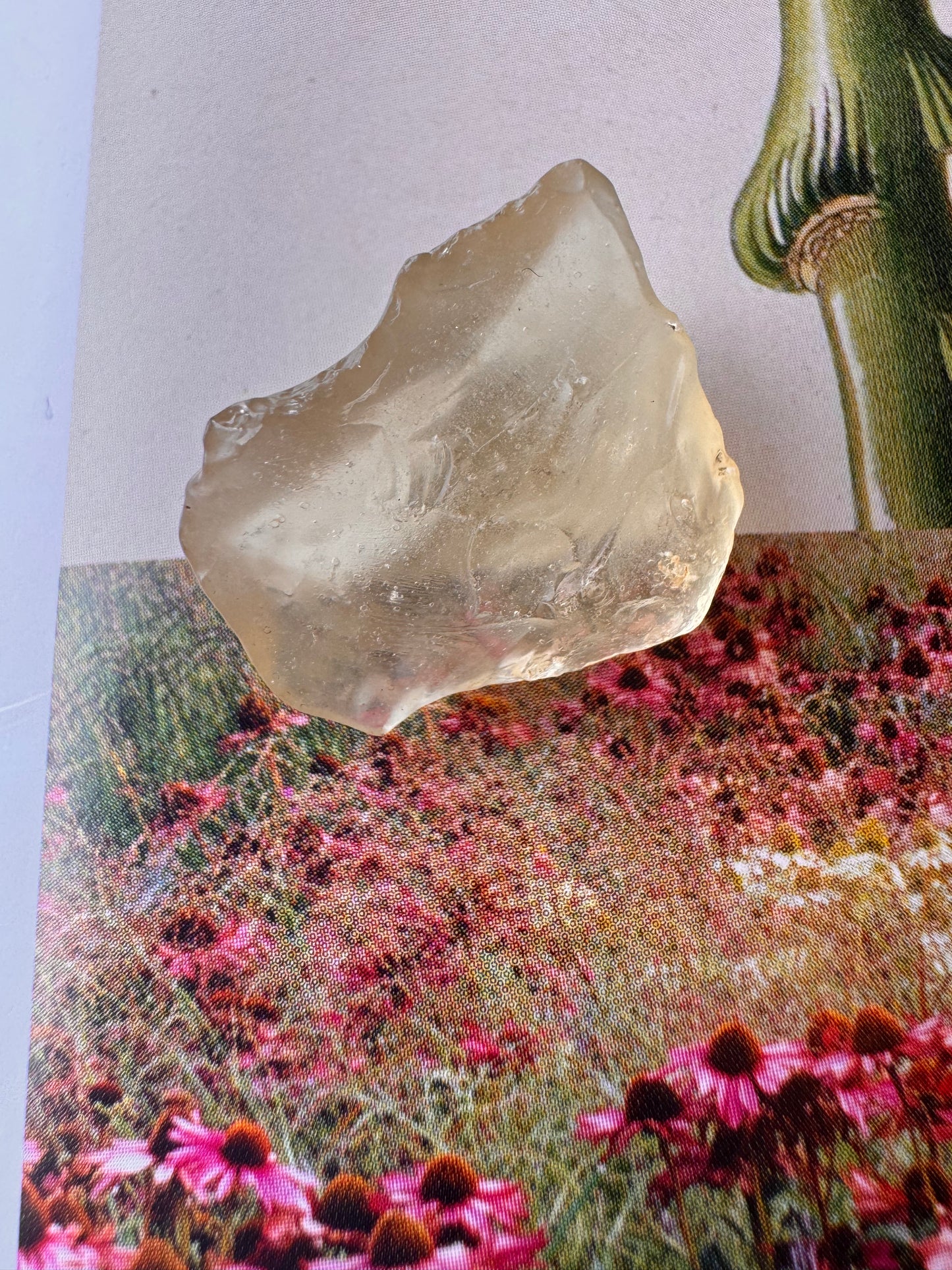 Libyan Desert Glass Tektite 4 gram - Moon Room Shop and Wellness