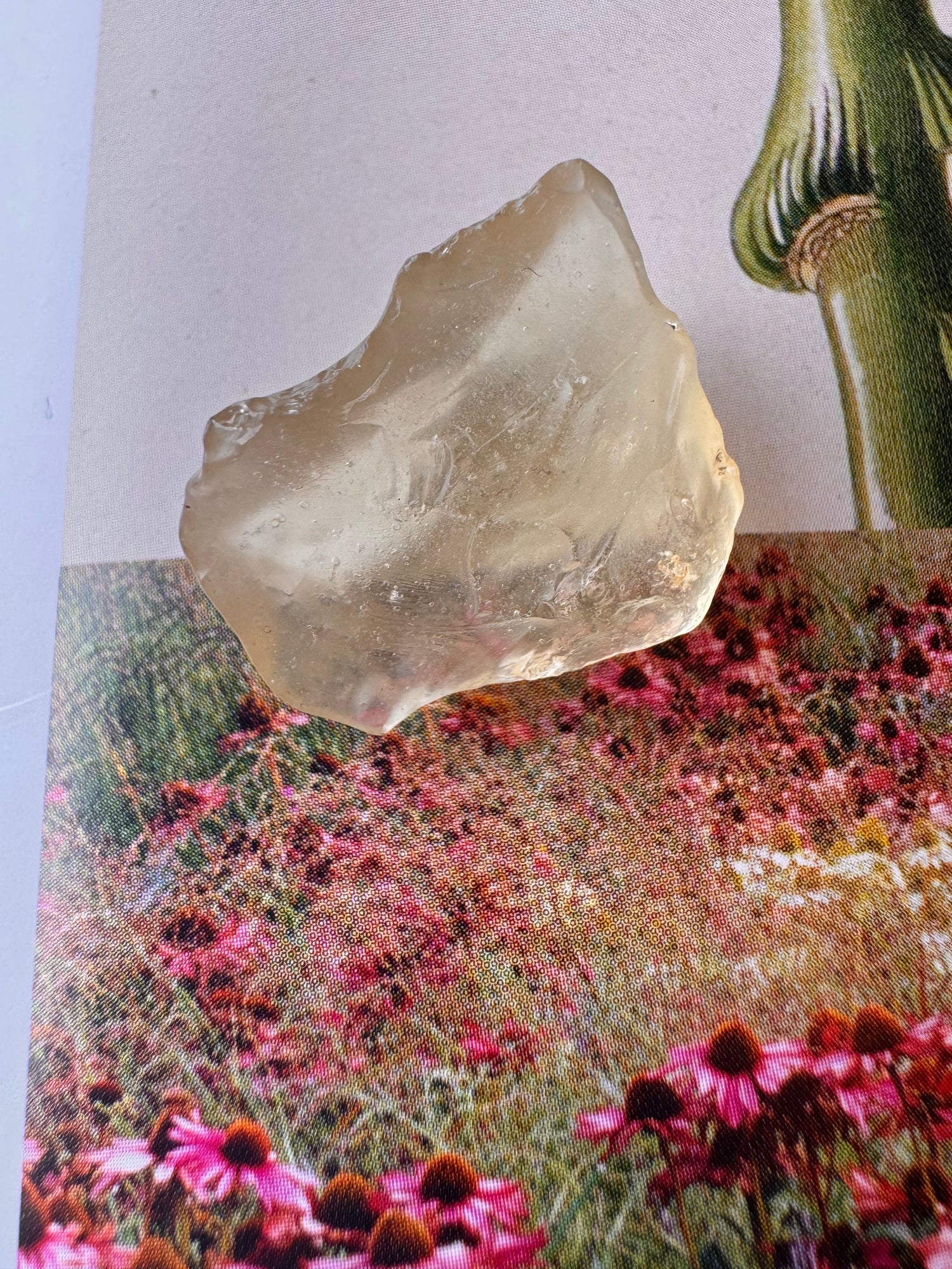 Libyan Desert Glass Tektite 4 gram - Moon Room Shop and Wellness