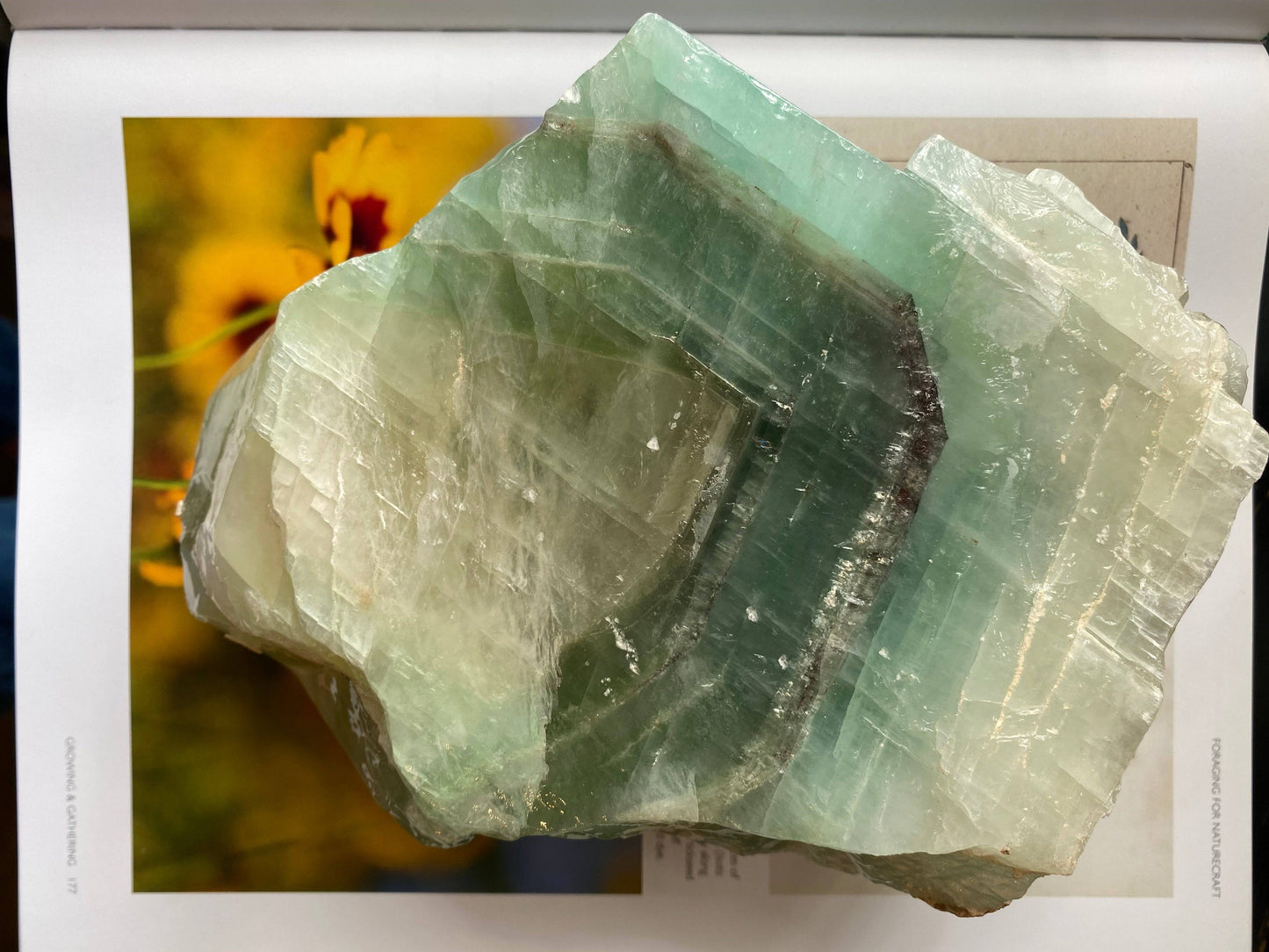 Green Calcite Freeform 4.4 lbs - Moon Room Shop and Wellness