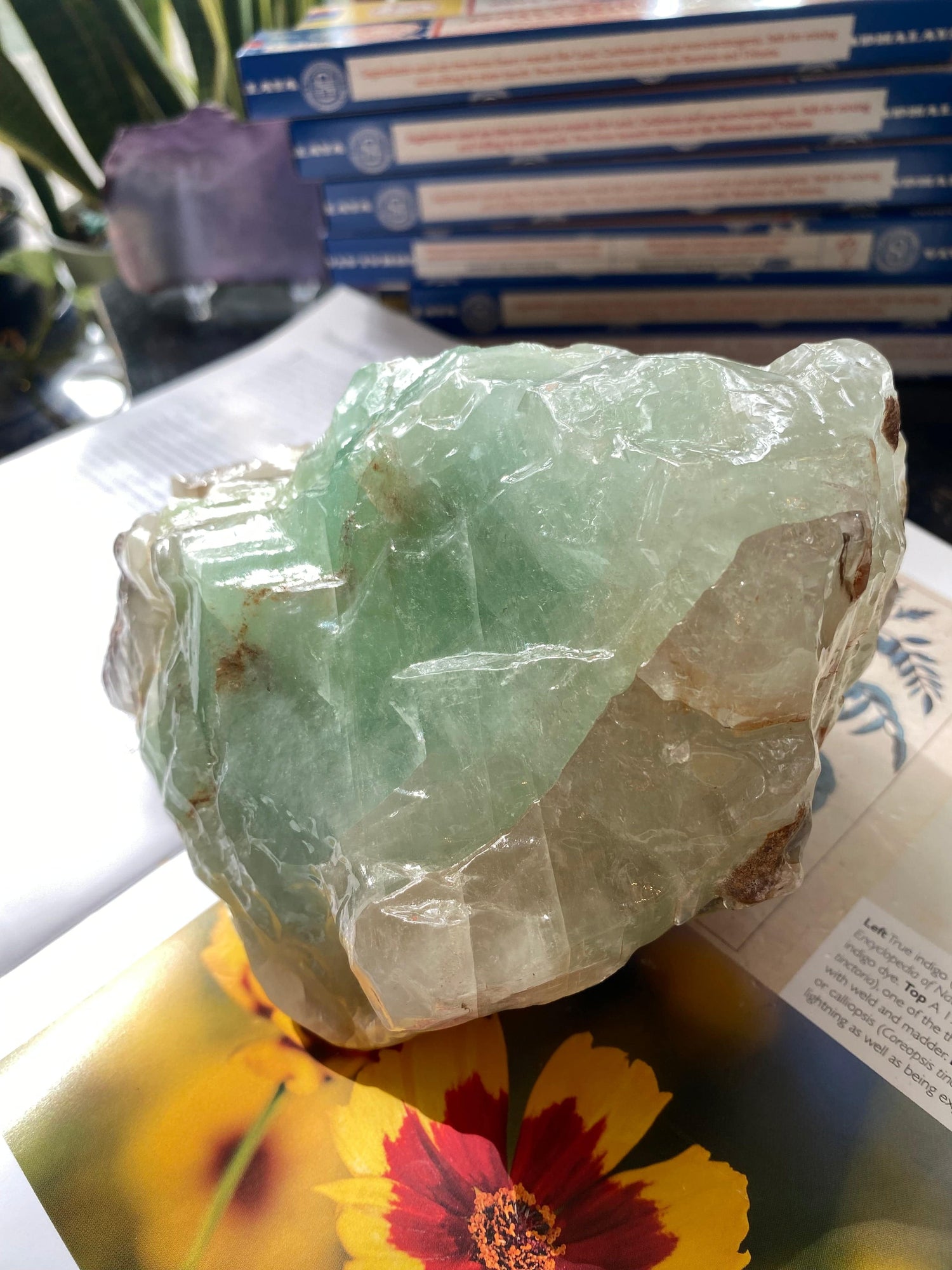 Green Calcite Freeform 3.67n lbs - Moon Room Shop and Wellness