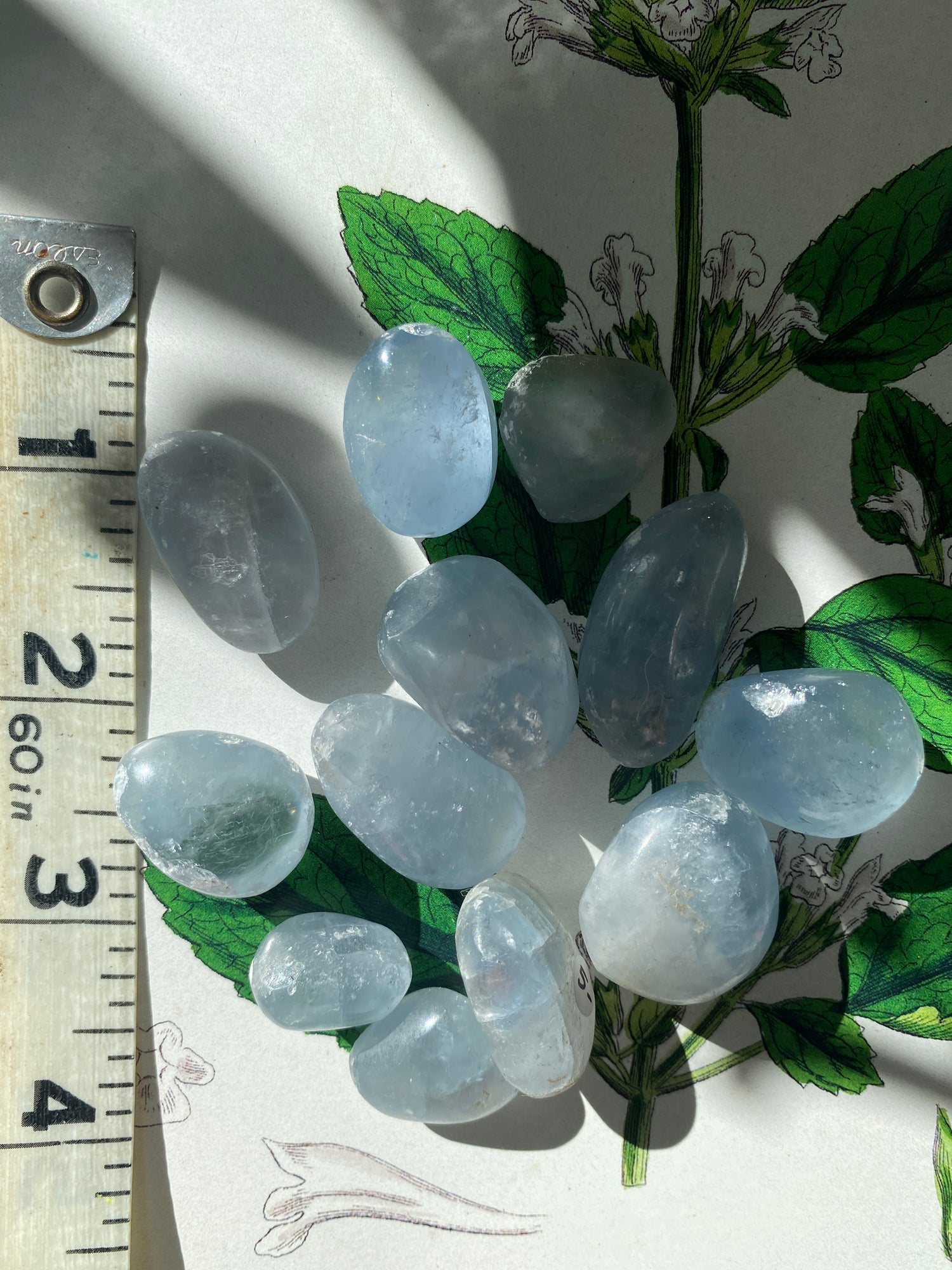 Celestite Tumbled - Moon Room Shop and Wellness