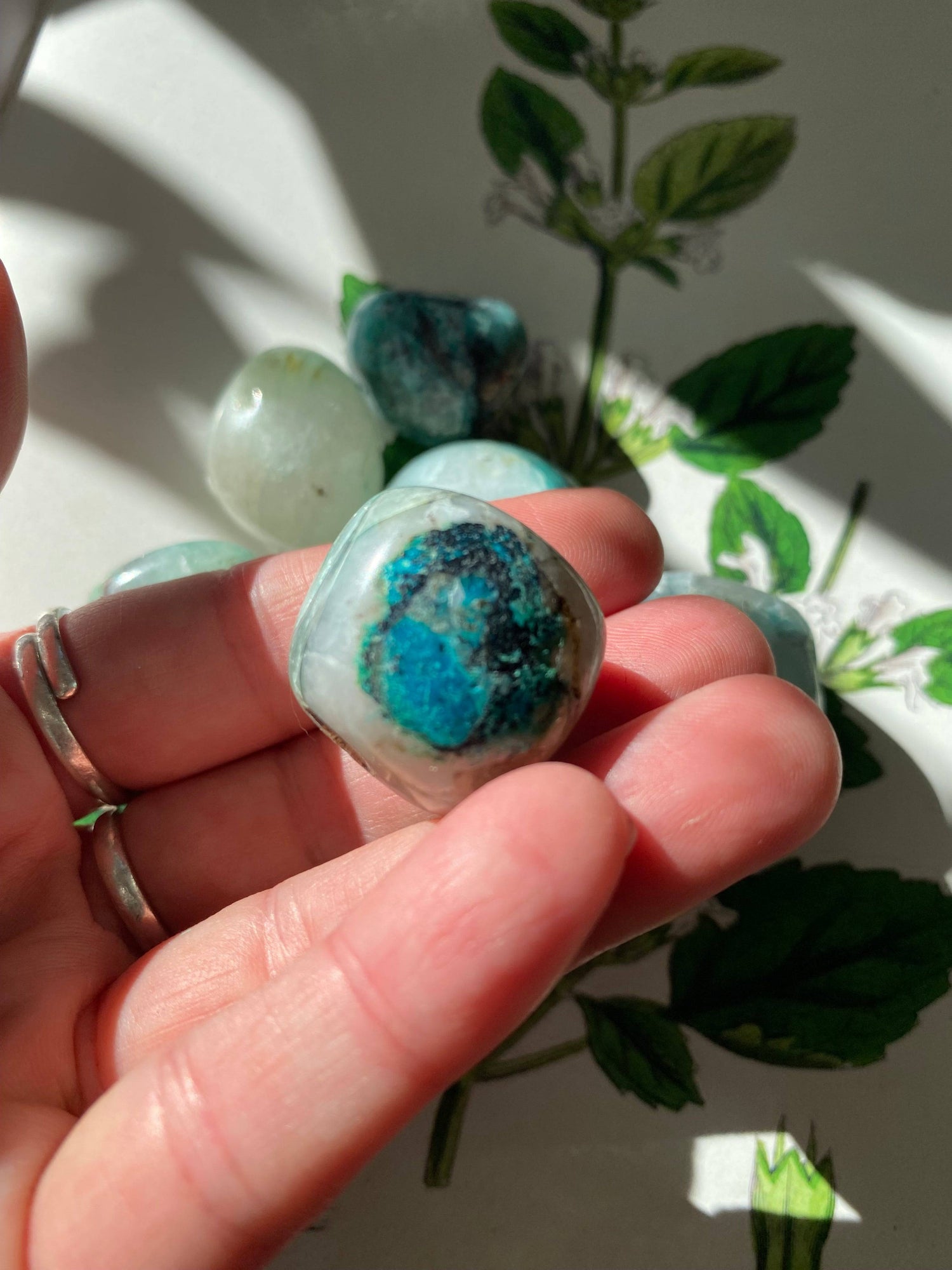 Chrysocolla and Quartz Tumbled- Peru - Moon Room Shop and Wellness