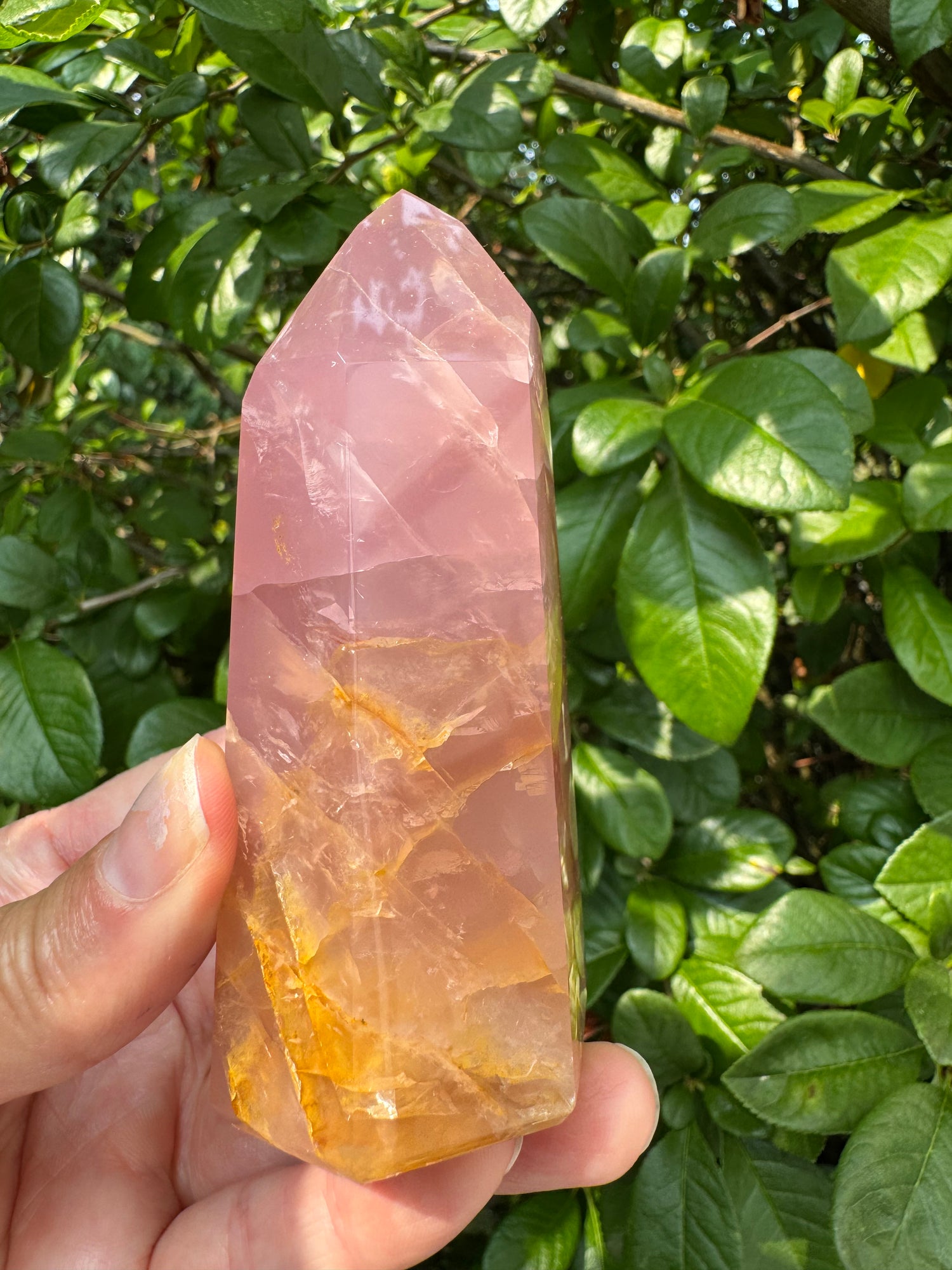 Guava Rose Quartz w Golden Healer - Gorgeous! 254 g - Brazil - Moon Room Shop and Wellness