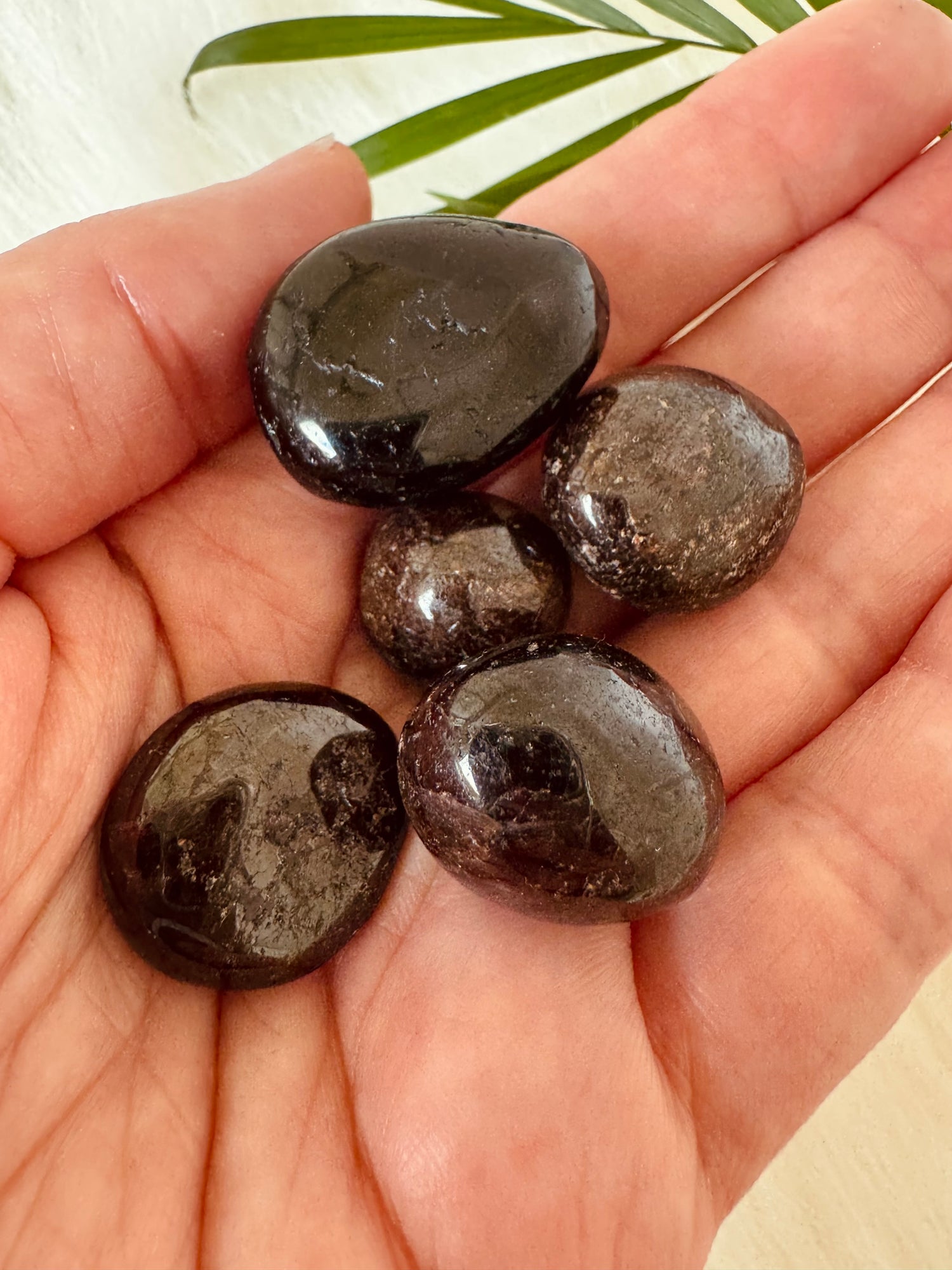 Garnet with Astrophyllite Tumbled - Moon Room Shop and Wellness