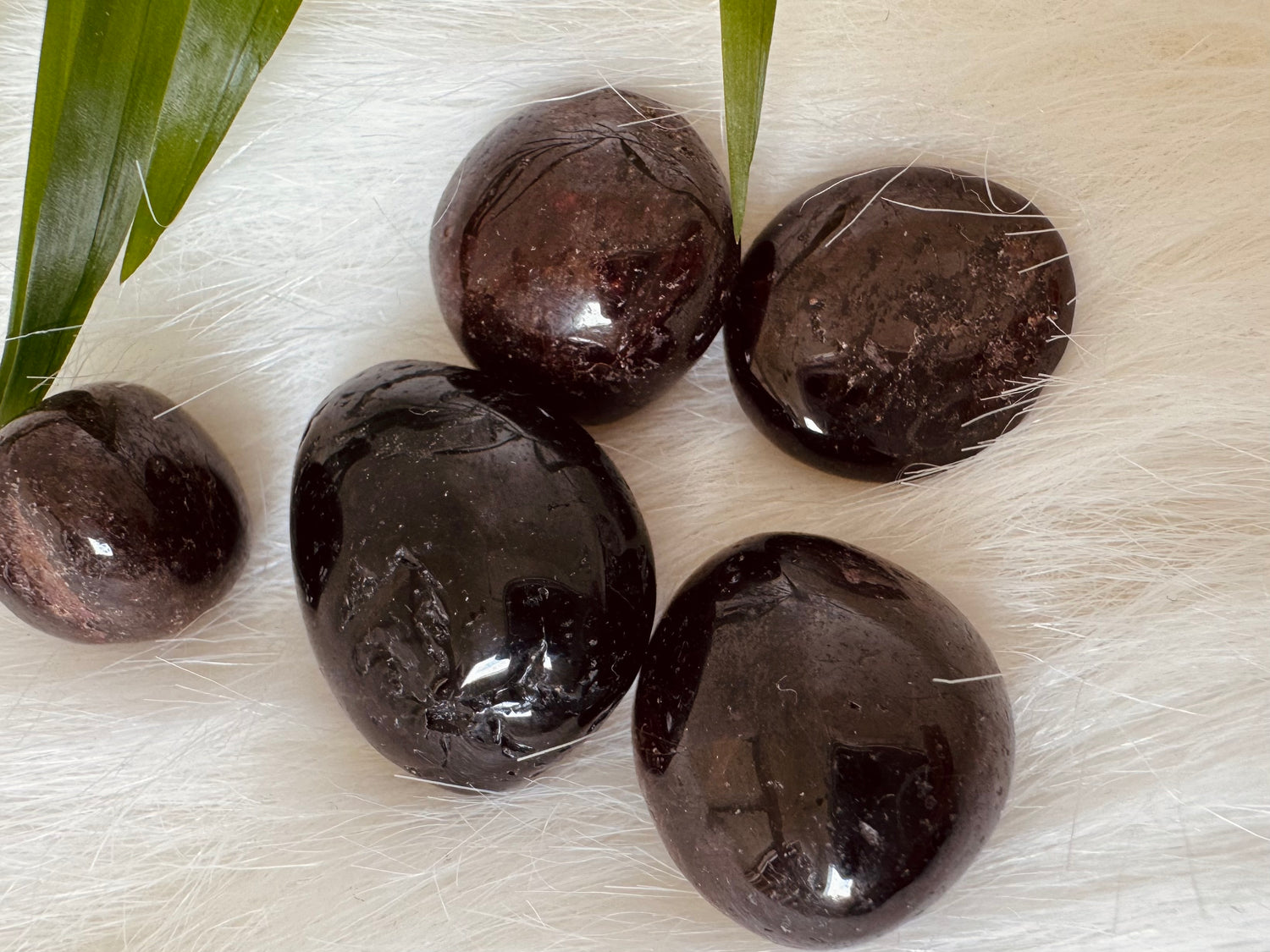 Garnet with Astrophyllite Tumbled - Moon Room Shop and Wellness
