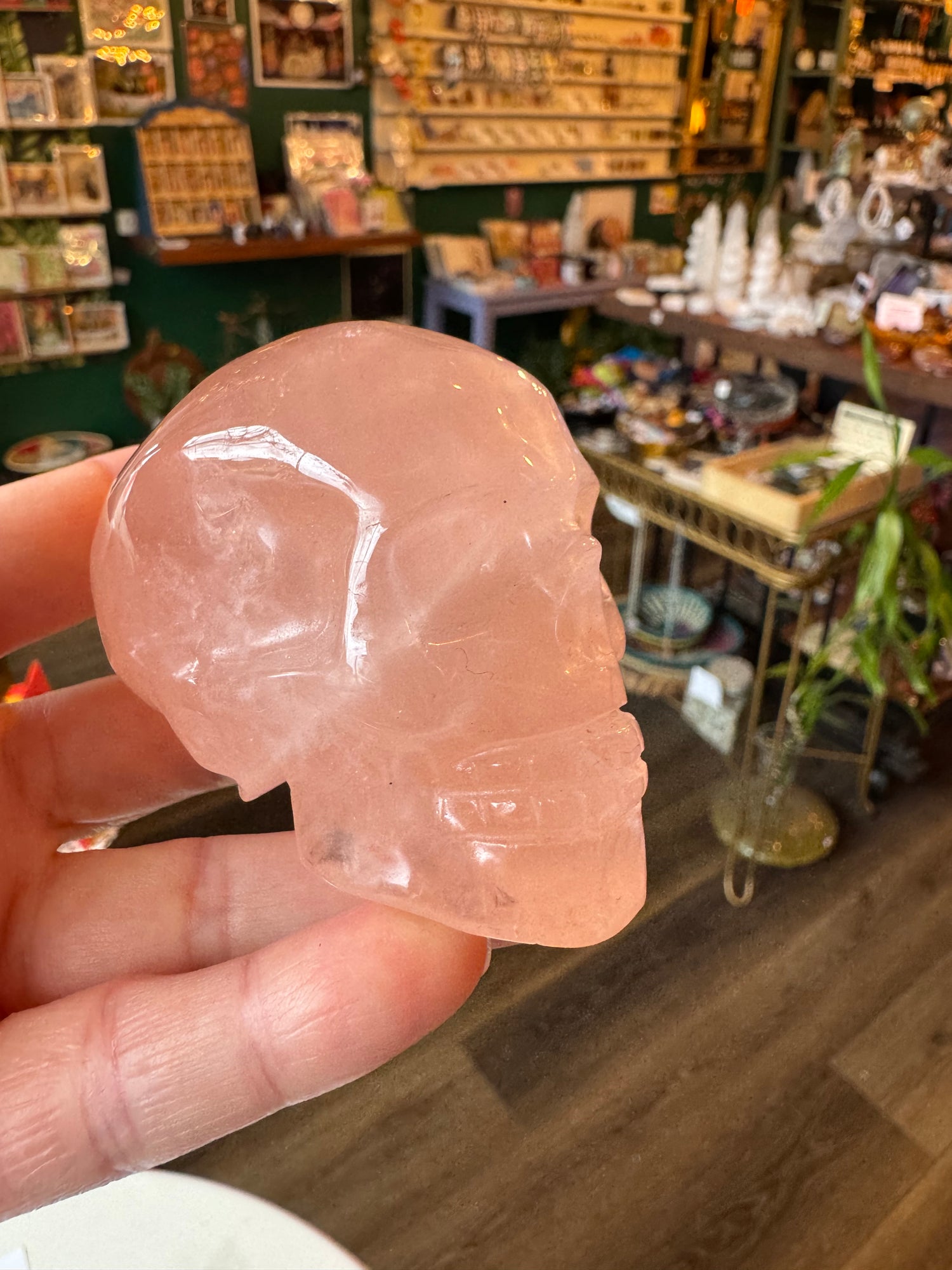 Rose Quartz Skull - Moon Room Shop and Wellness