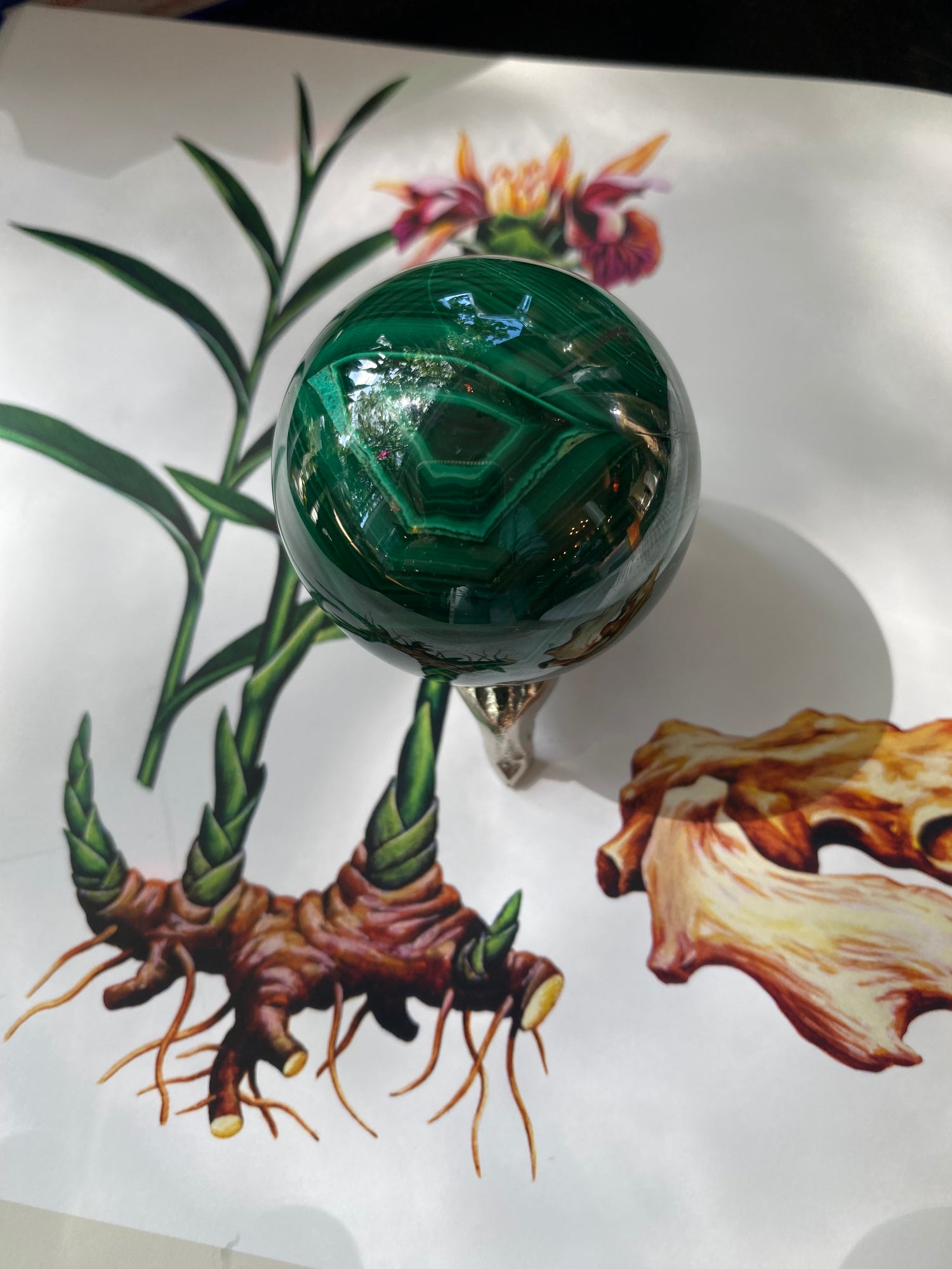 Malachite Sphere 187 g - Moon Room Shop and Wellness