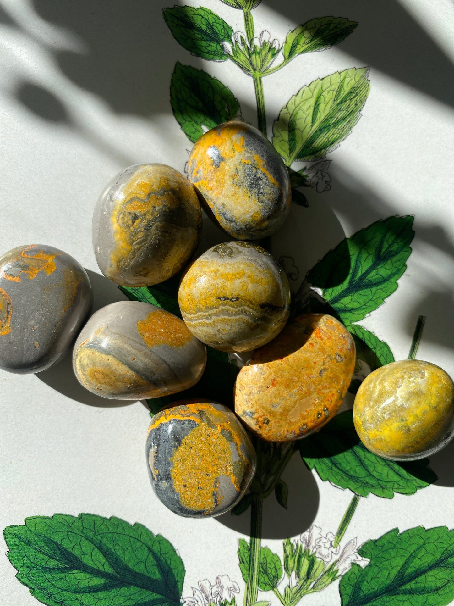 Bumblebee Jasper Tumbled - Moon Room Shop and Wellness