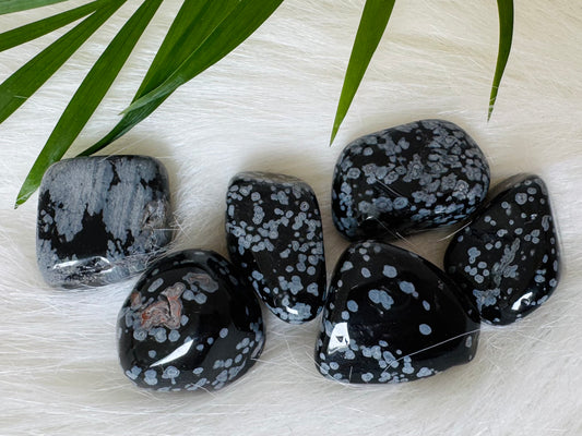 Snowflake Obsidian Tumbled - Moon Room Shop and Wellness