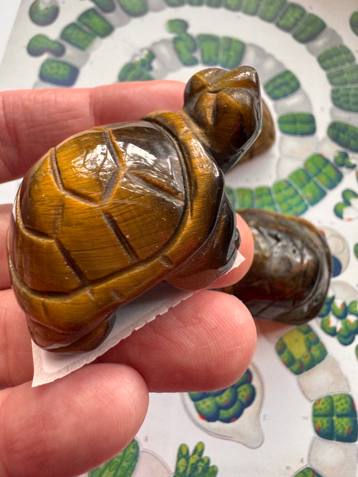 Tiger's Eye Turtle - Moon Room Shop and Wellness
