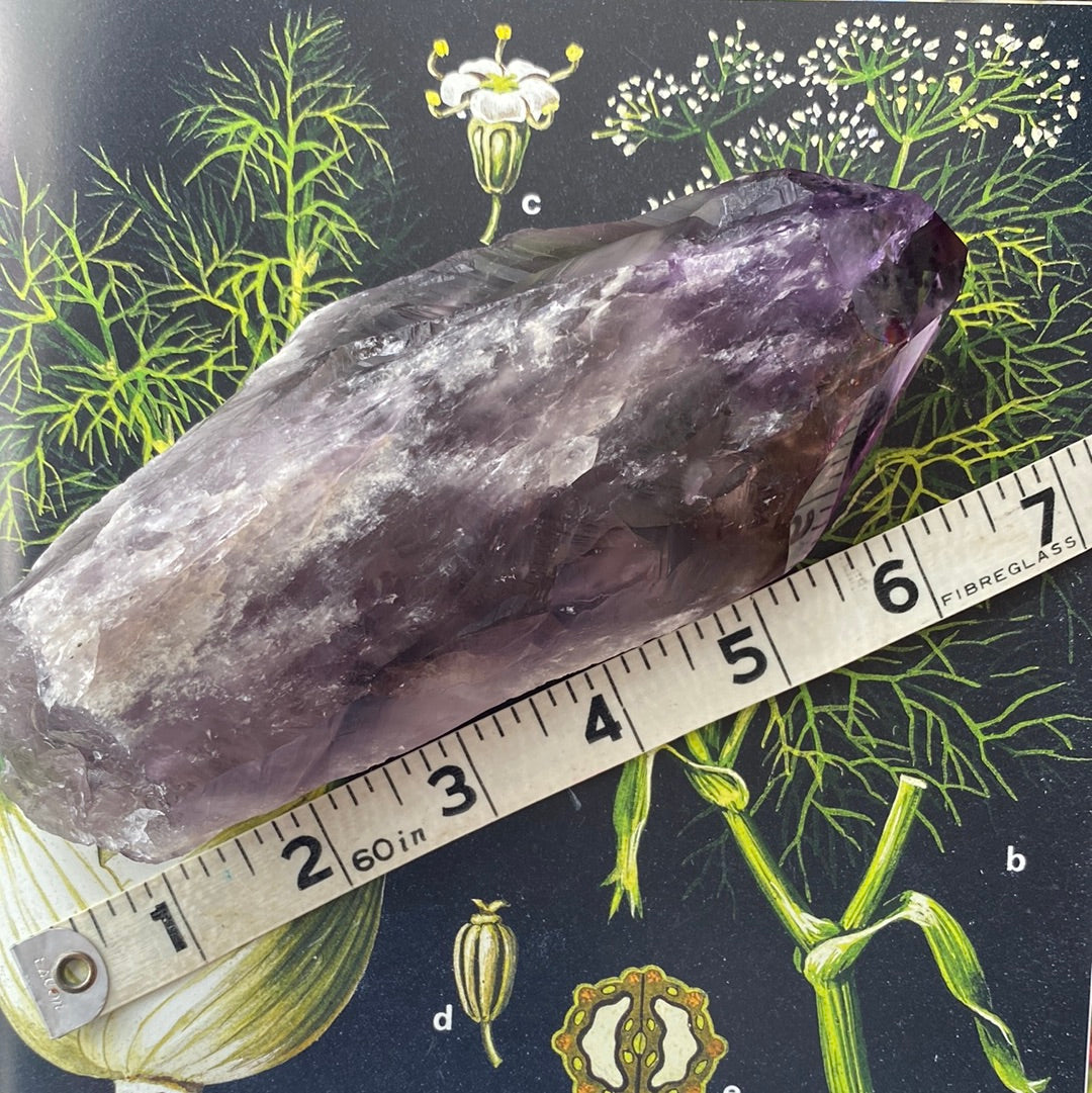 Amethyst Dragon's Tooth Spear Grade A - 1.06 lbs - Moon Room Shop and Wellness