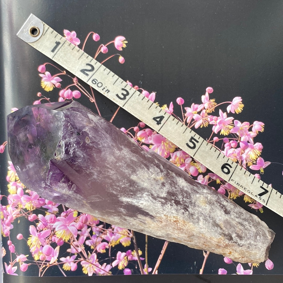 Amethyst Dragon's Tooth Spear Grade A - 411 g - Moon Room Shop and Wellness