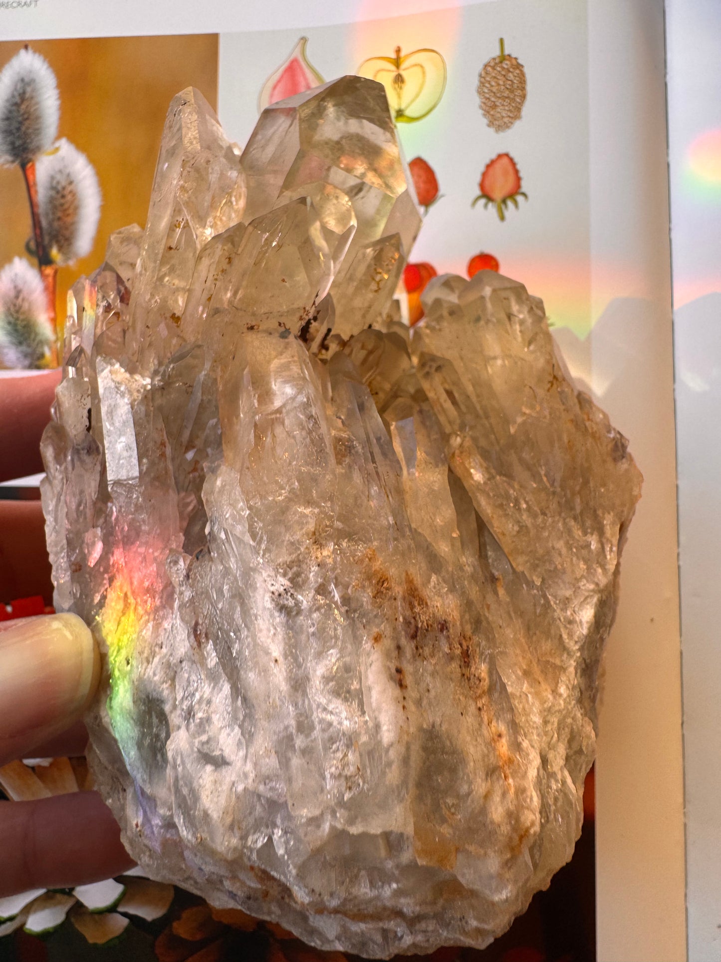 Citrine Natural Specimens- 1.91 lb- Congo - Moon Room Shop and Wellness