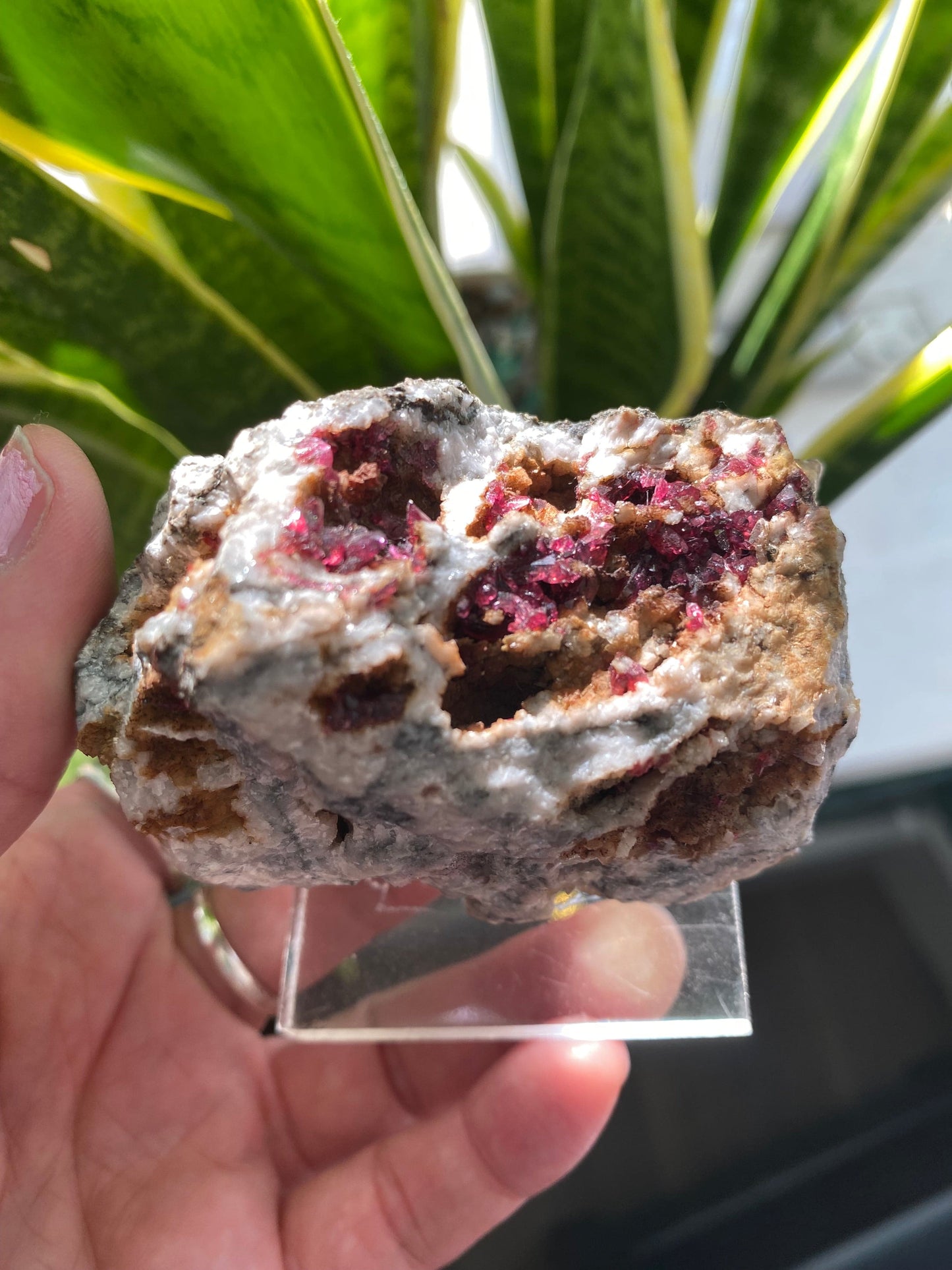 Roselite and Heterogenite on Dolomite 233 g  Aghbar Mine Morocco - Moon Room Shop and Wellness