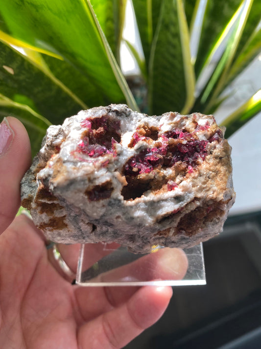 Roselite and Heterogenite on Dolomite 233 g Aghbar Mine Morocco - Moon Room Shop and Wellness