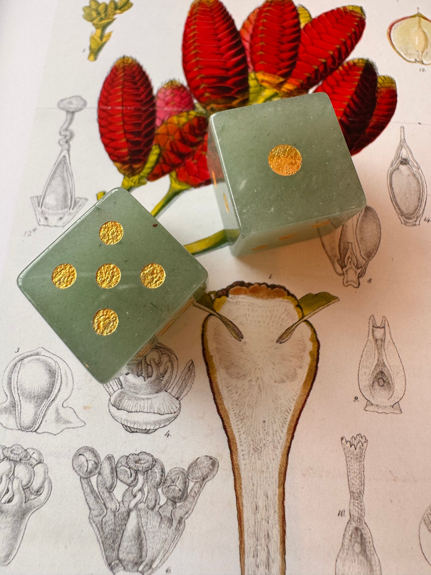 Green Aventurine Carved Dice - Moon Room Shop and Wellness