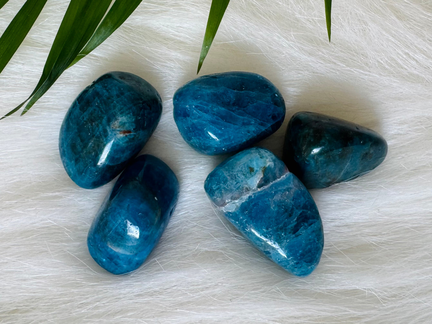 Blue Apatite Tumbled - Moon Room Shop and Wellness