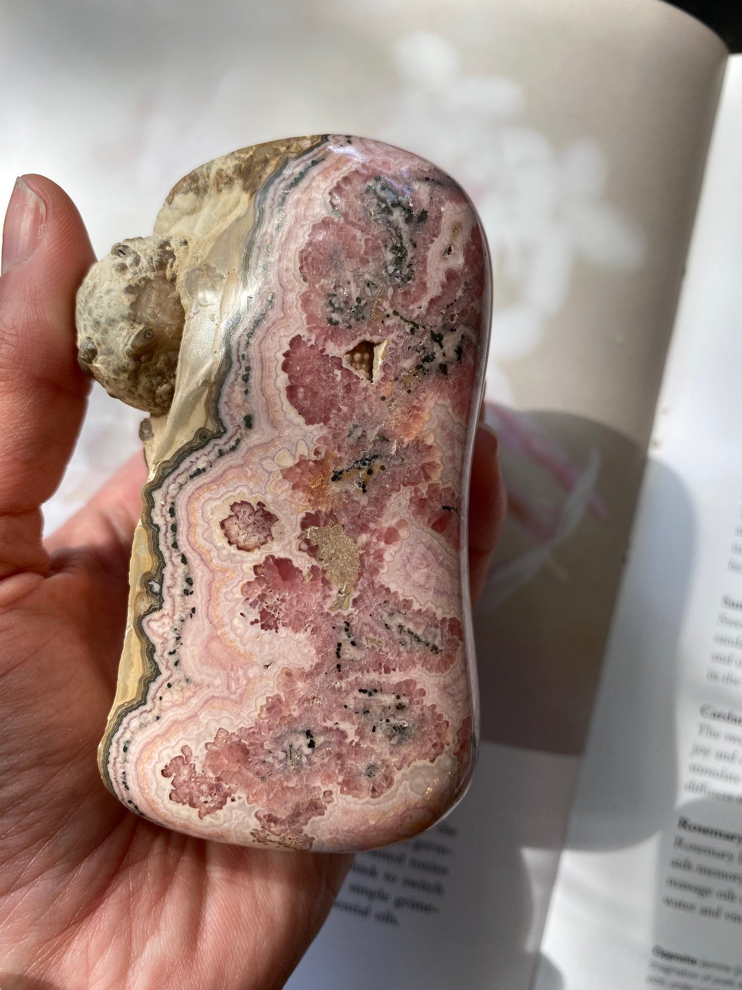 Rhodochrosite Specimen 1.41 lbs - Moon Room Shop and Wellness