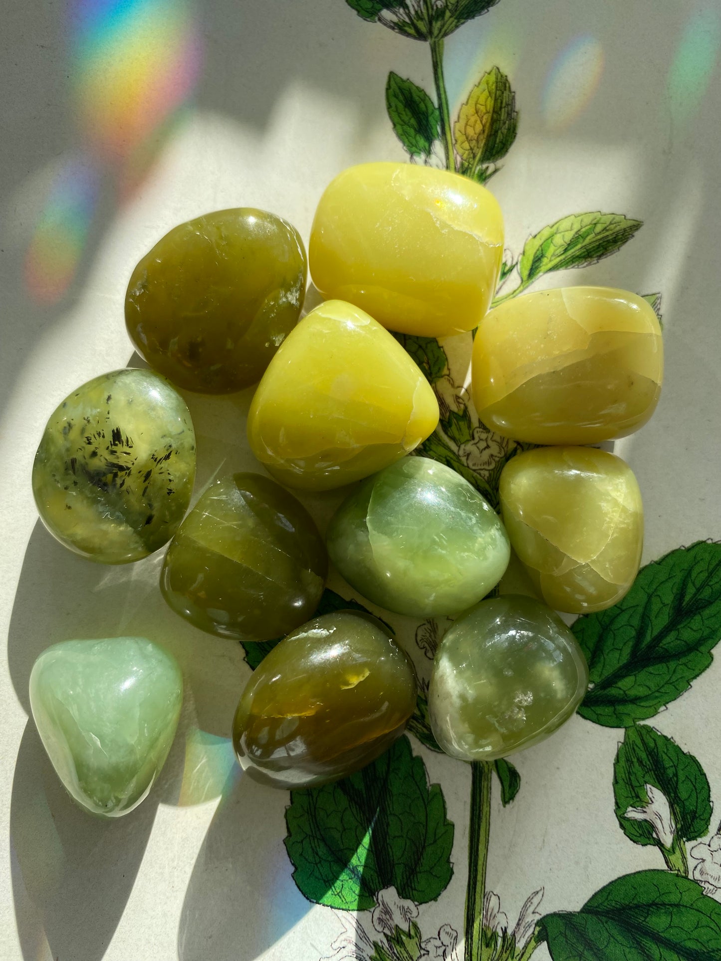 Nephrite Jade Tumbled - Moon Room Shop and Wellness