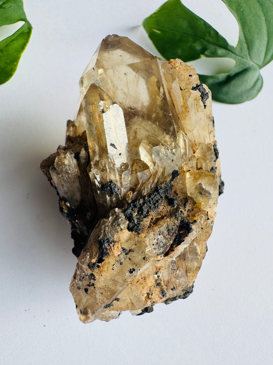 Kundalini Citrine 52 g Lwena, Democratic Republic of Congo - Moon Room Shop and Wellness