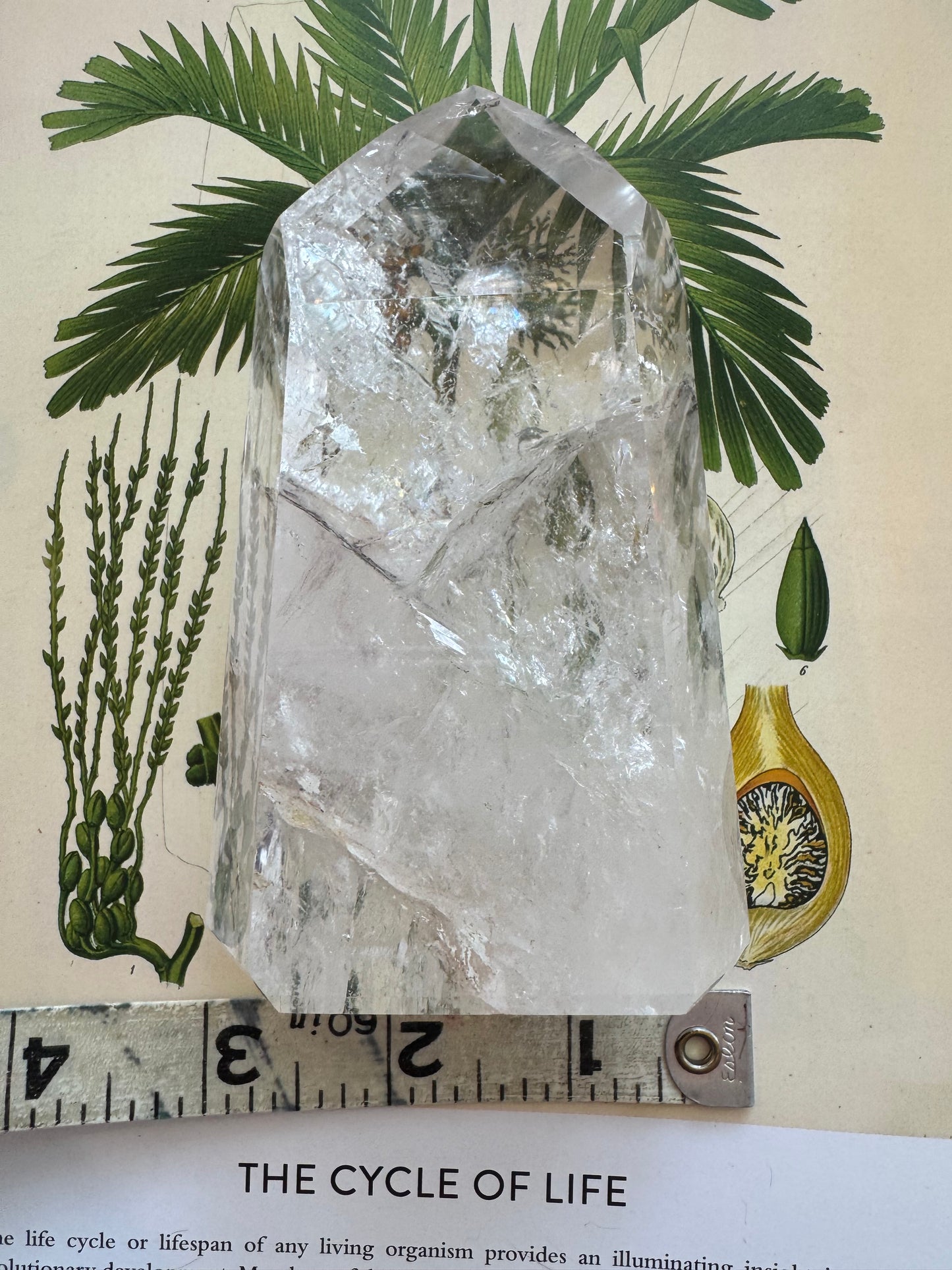Clear Quartz Tower Brazil Beauty 1.03 lbs - Moon Room Shop and Wellness