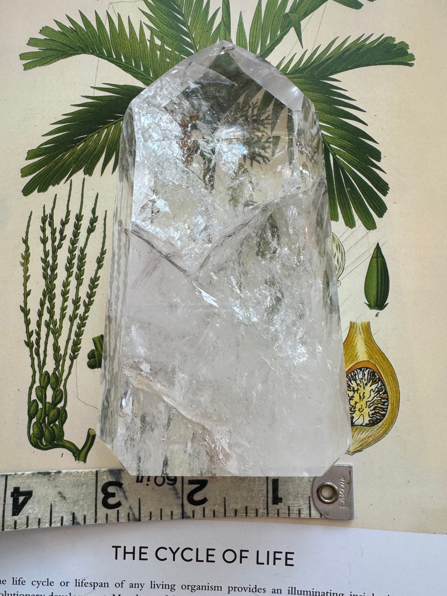Clear Quartz Tower Brazil Beauty 1.03 lbs - Moon Room Shop and Wellness
