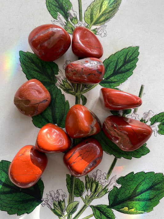 Red Jasper Tumbled - India - Moon Room Shop and Wellness