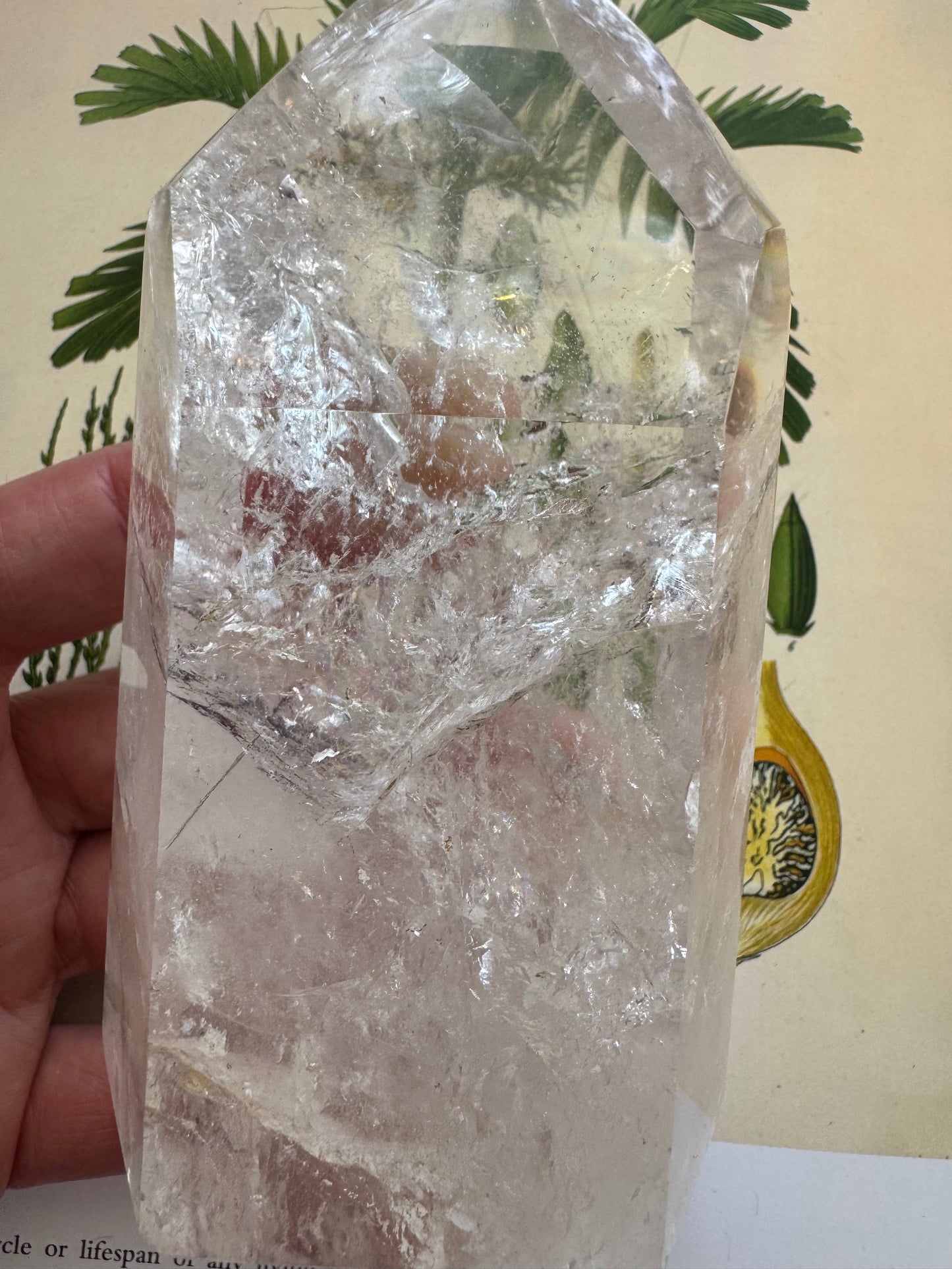 Clear Quartz Tower Brazil Beauty 1.03 lbs - Moon Room Shop and Wellness