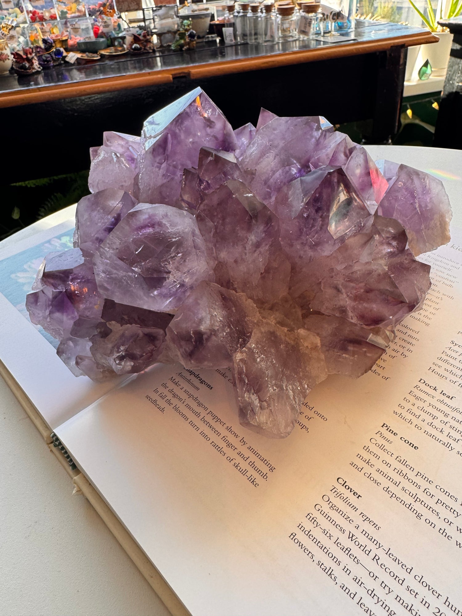 Phantom Amethyst Cluster 6.85 lb Brazil - Moon Room Shop and Wellness