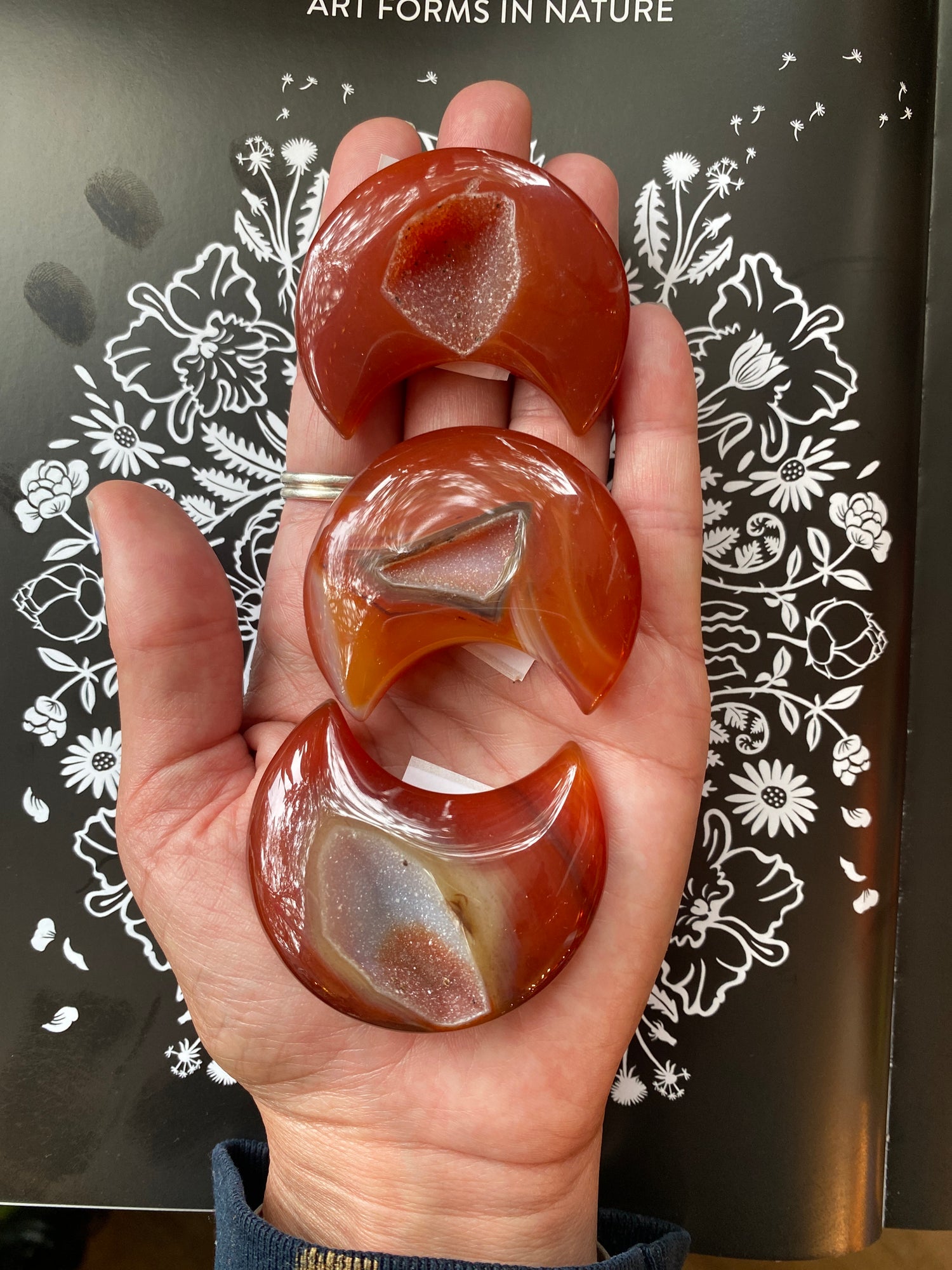 Carnelian Moon - Moon Room Shop and Wellness