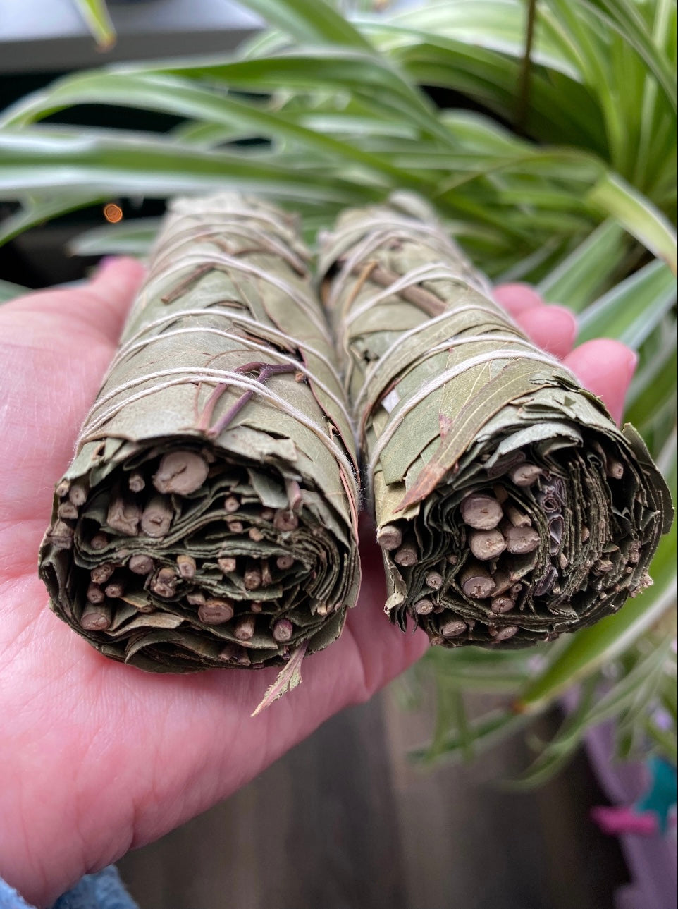 Eucalyptus Smudge Bundles - Moon Room Shop and Wellness