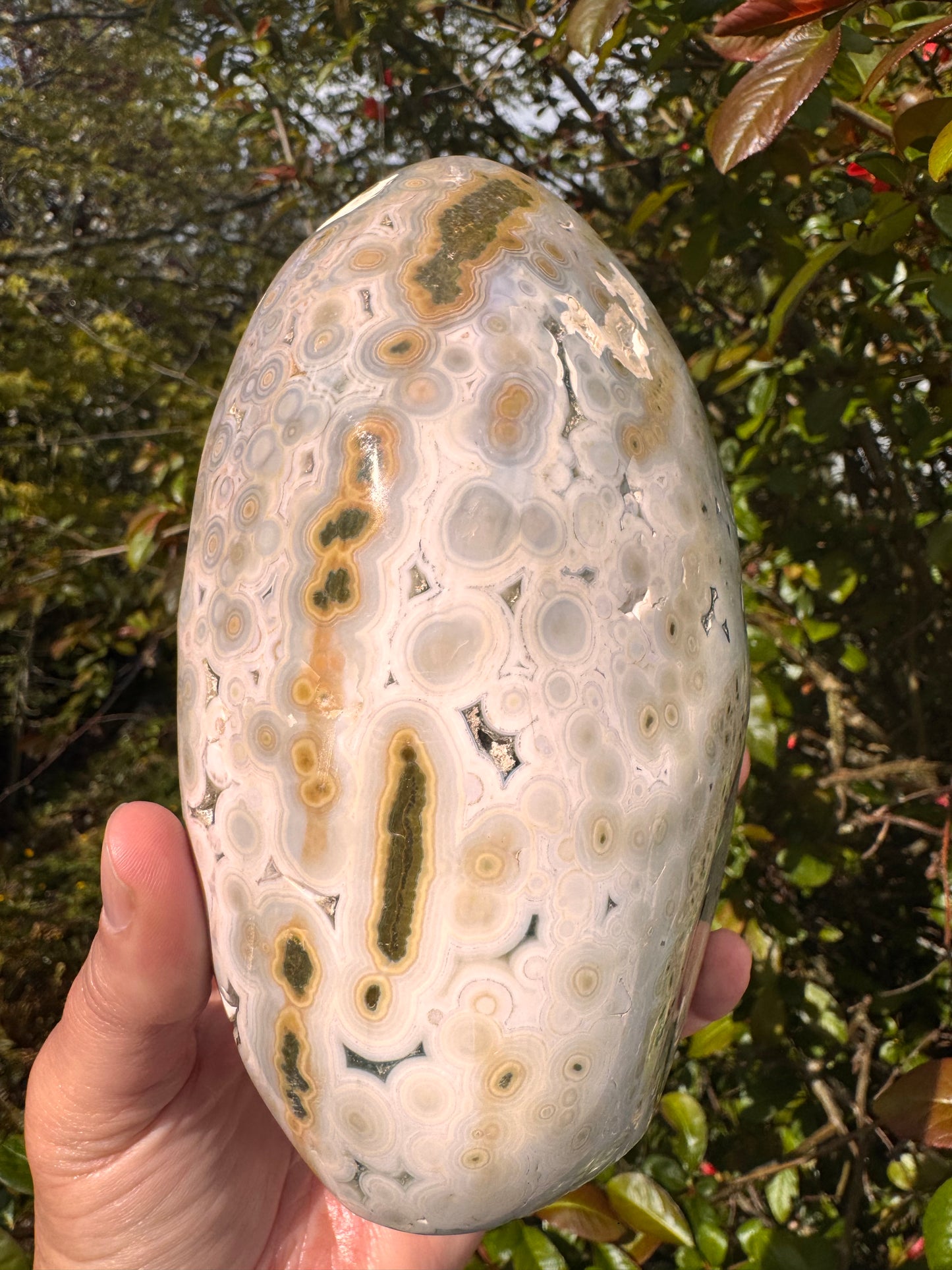 Ocean Jasper Freeform 4.23 lb Madagascar - Moon Room Shop and Wellness