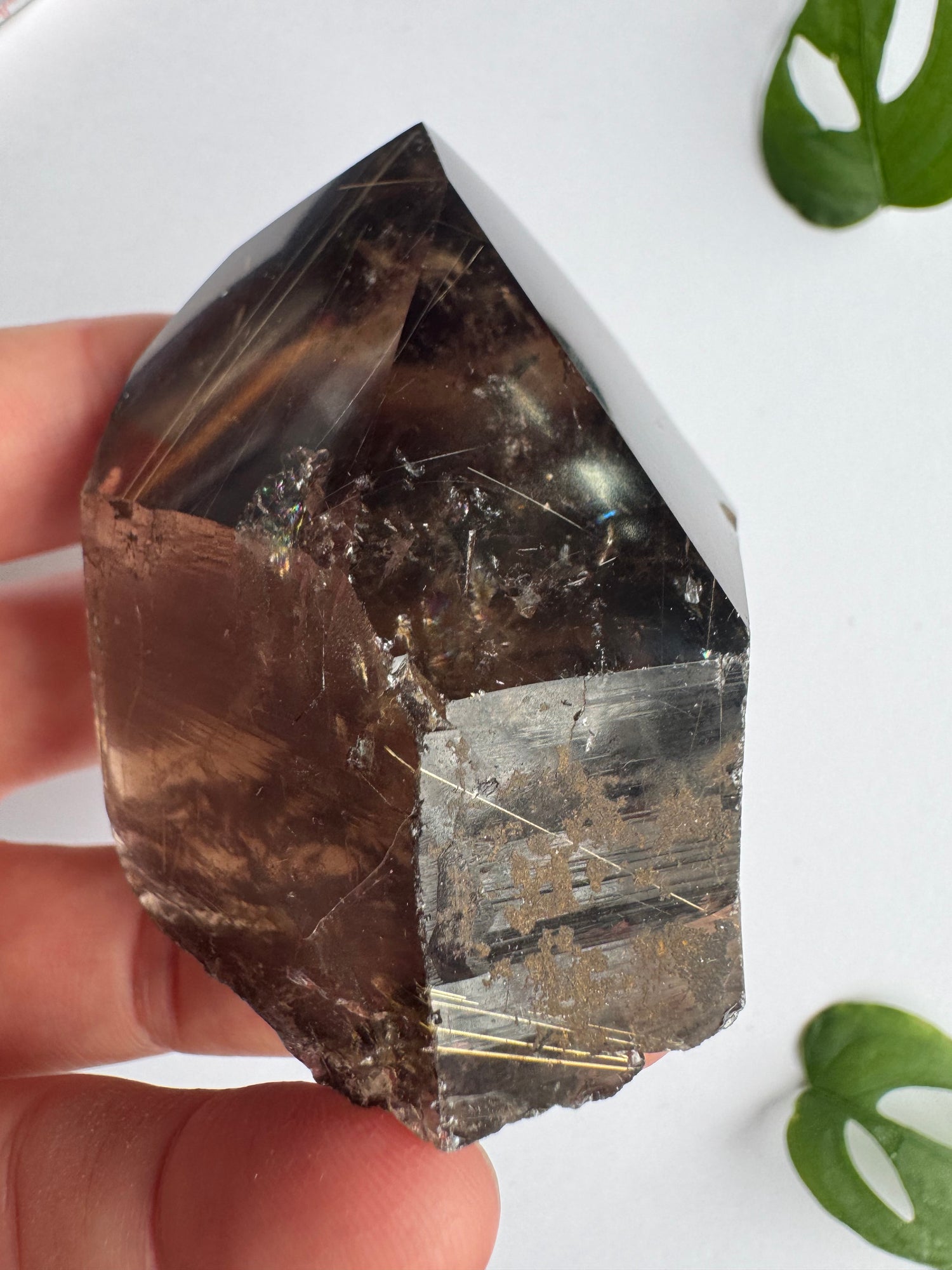 Smoky Quartz Rutilated Beauty 160 g. Brazil - Moon Room Shop and Wellness