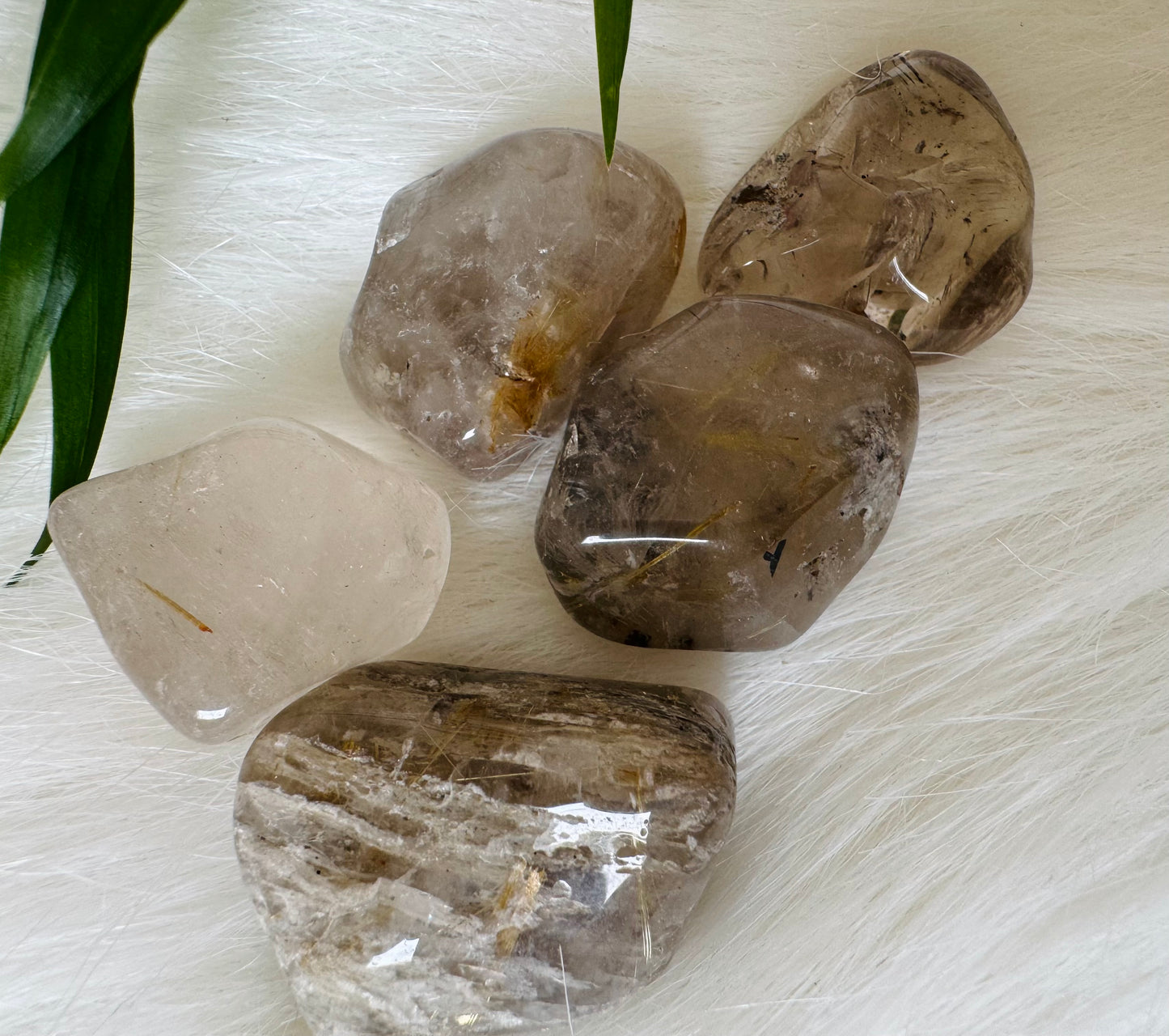 Rutilated Quartz Tumbled - Moon Room Shop and Wellness