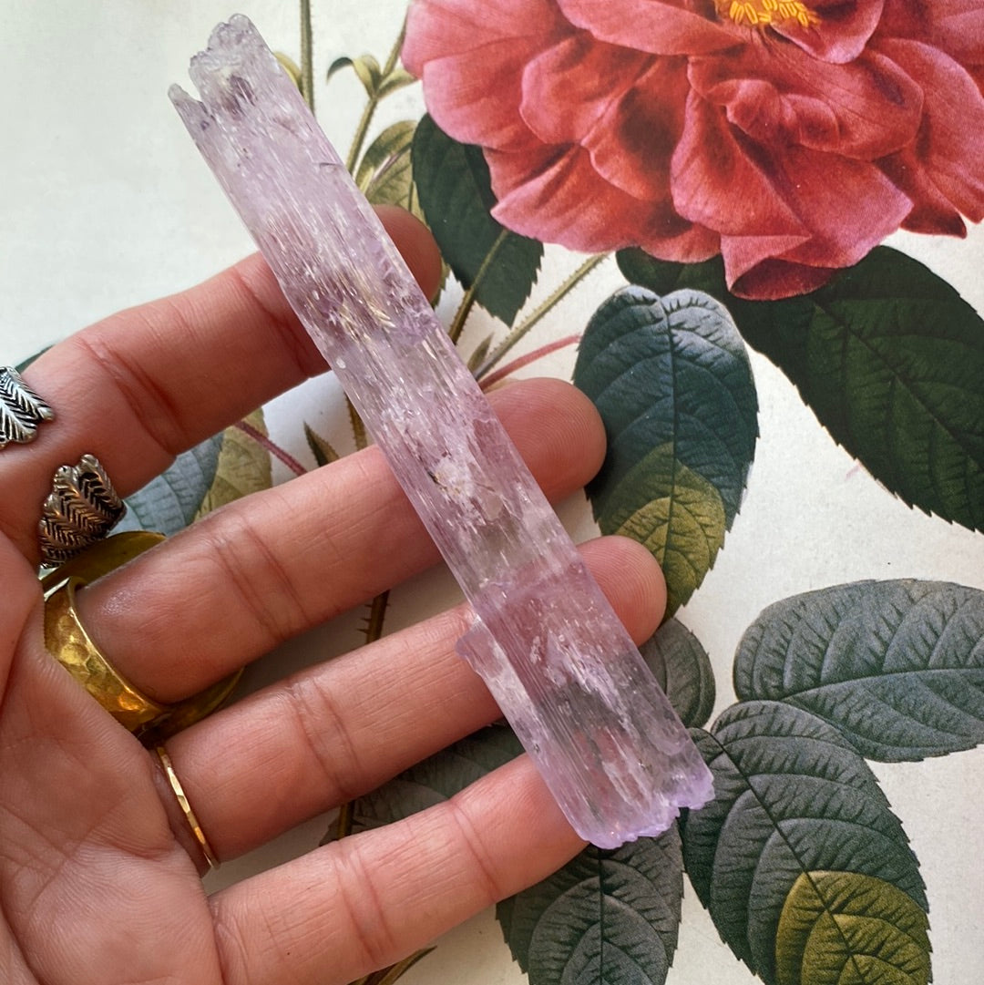 Kunzite -Pakistan- 240 ct - Moon Room Shop and Wellness