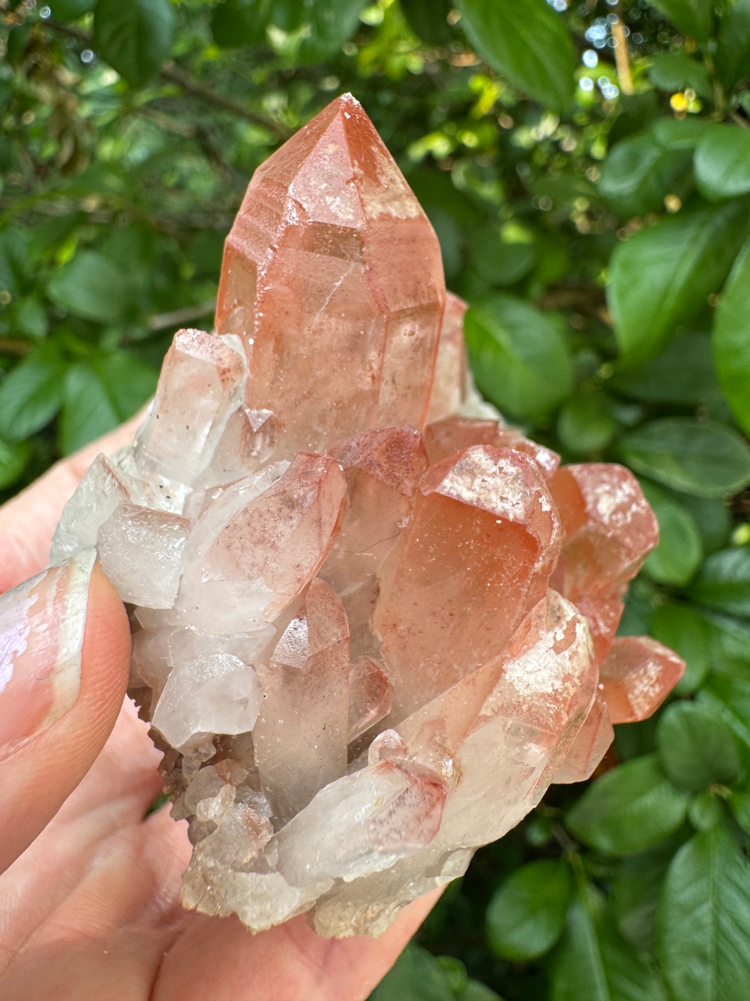 Pink Lithium Quartz Cluster 140 g - Brazil- Peaceful Beauty! - Moon Room Shop and Wellness