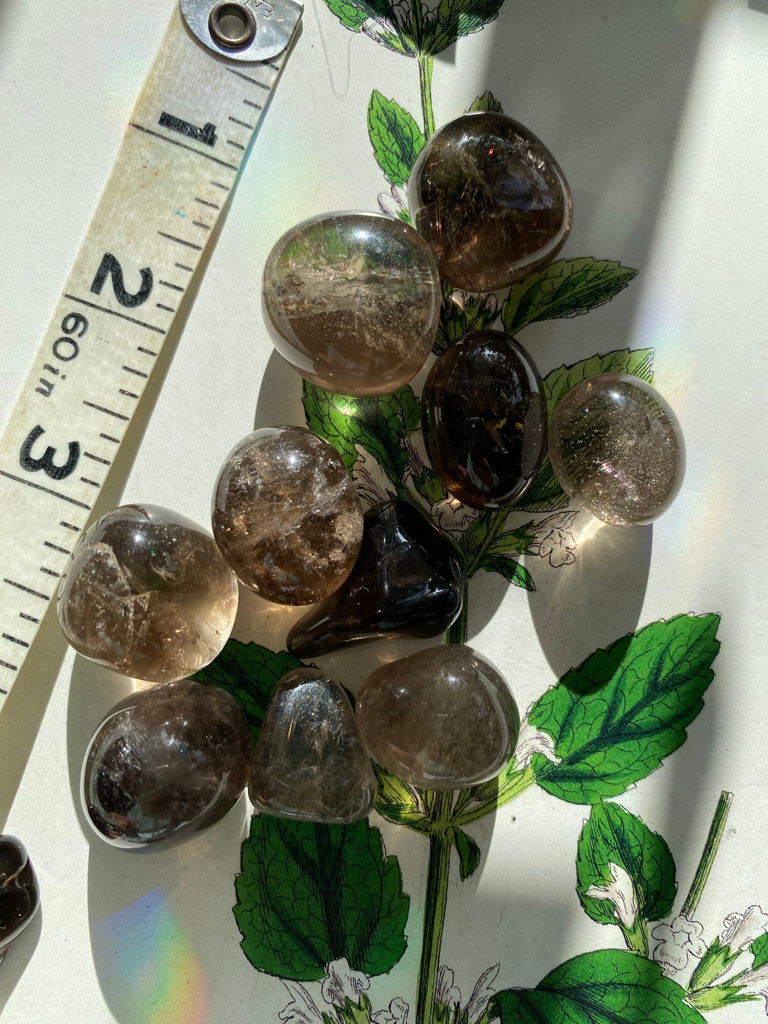 Smoky Quartz Tumbled - Moon Room Shop and Wellness