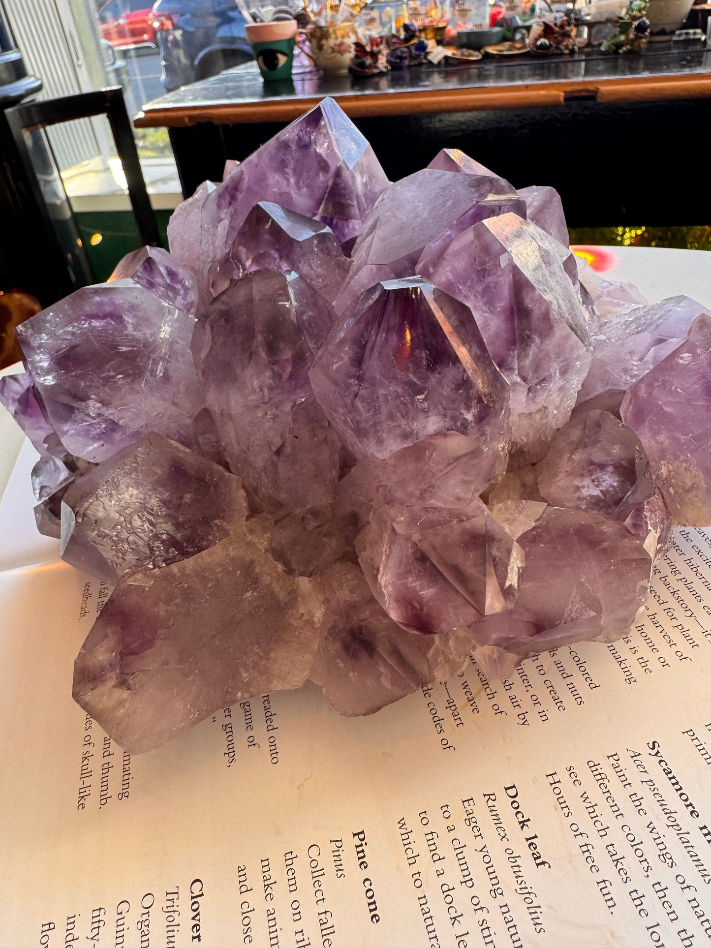 Phantom Amethyst Cluster 6.85 lb Brazil - Moon Room Shop and Wellness