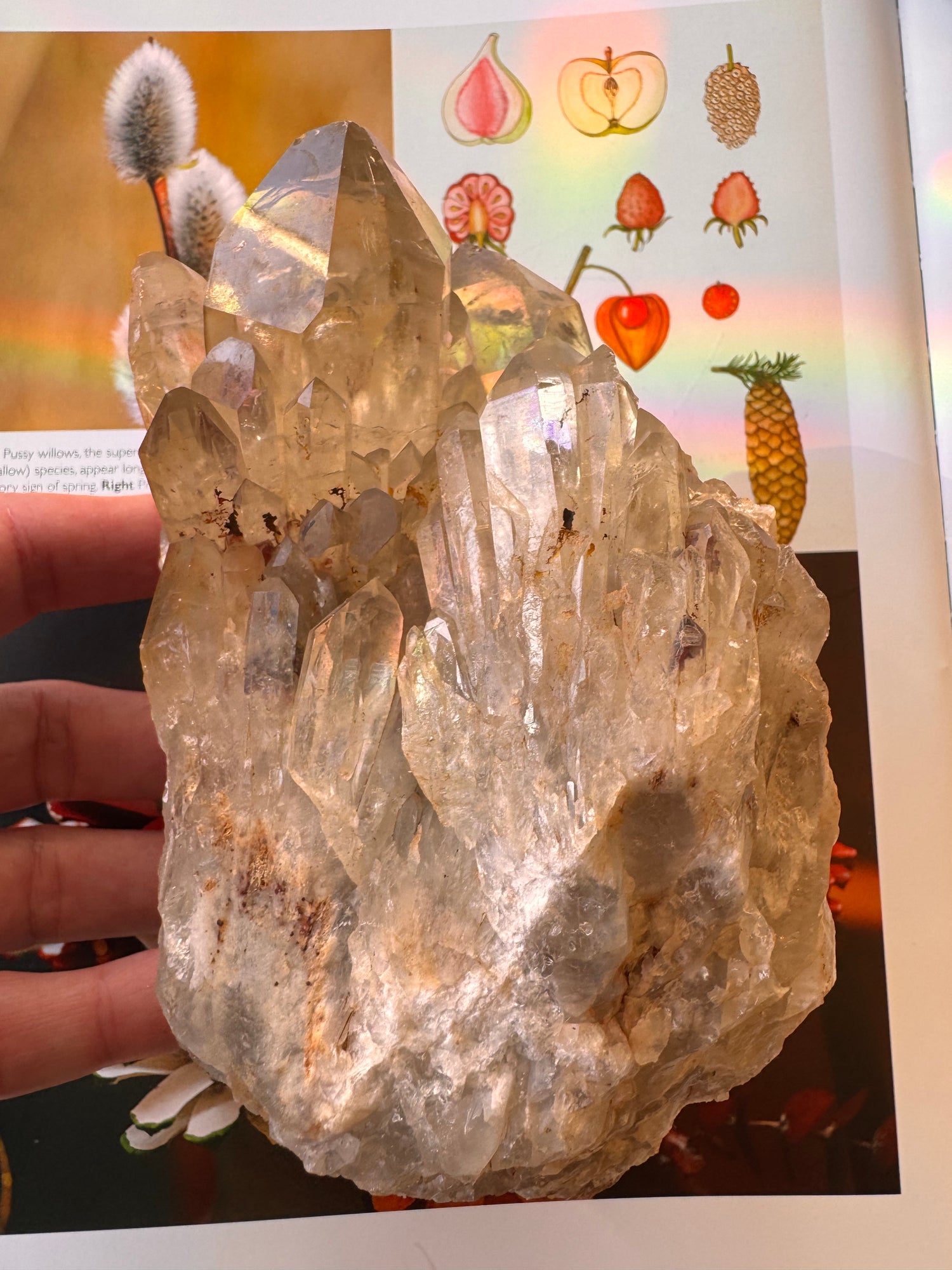 Citrine Natural Specimens- 1.91 lb- Congo - Moon Room Shop and Wellness